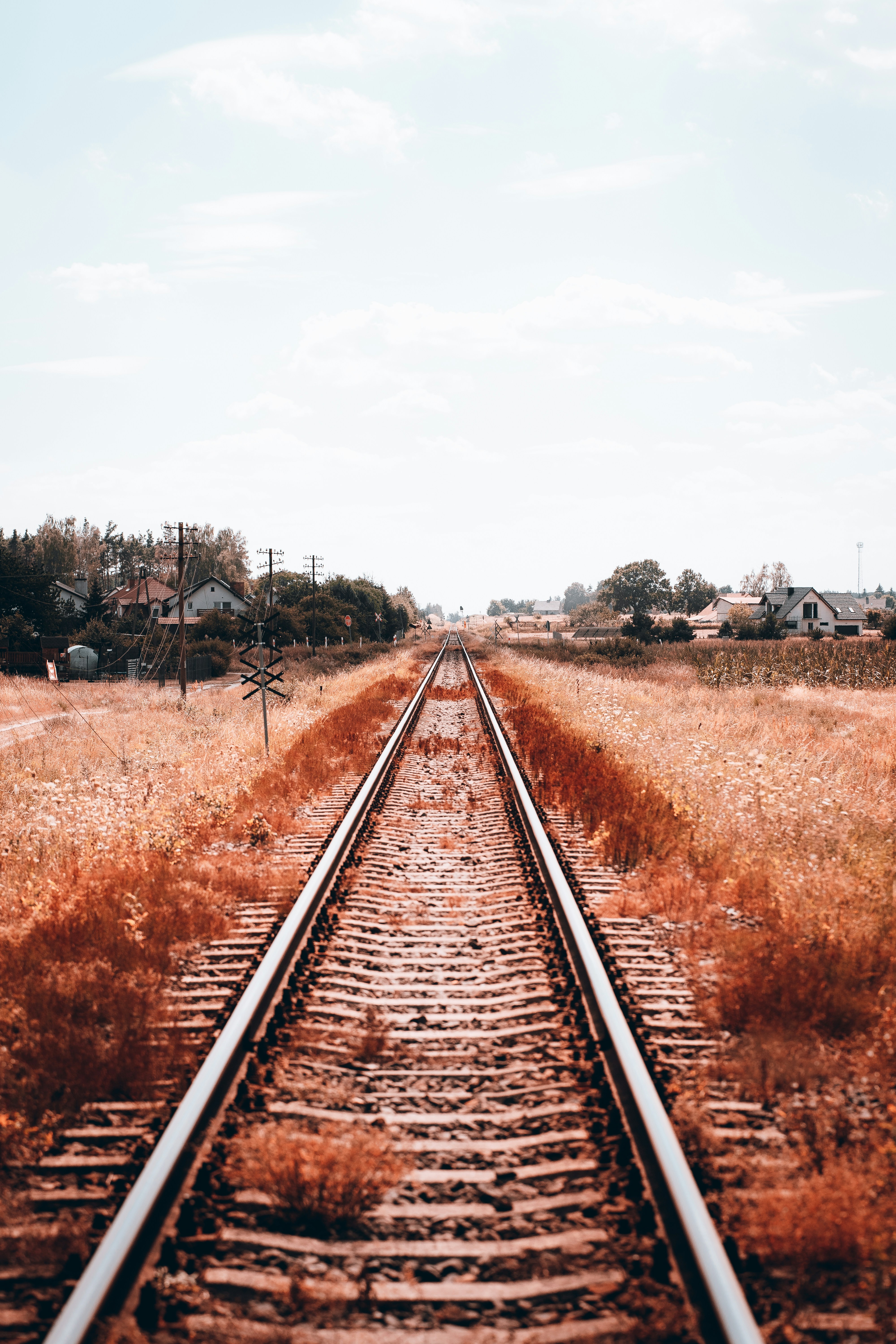 Photo by shields_mcmxcix