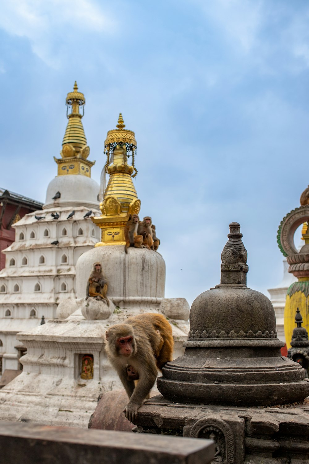 a monkey sitting on a fountain