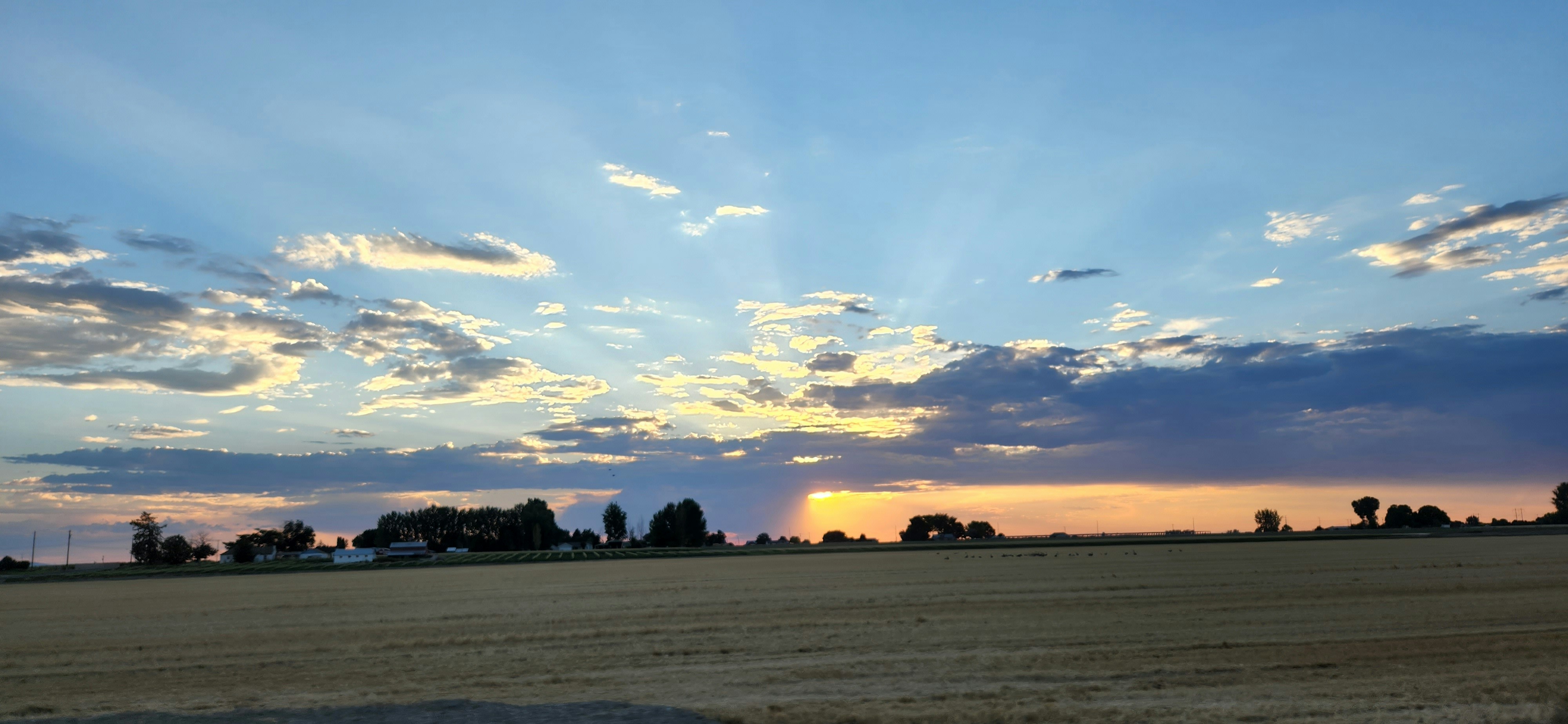 Sweeping Montana sunrise over open plains, vast sky painted in gold and rose tones