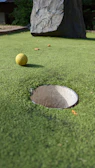 Close-up of the golf simulator screen displaying a detailed golf course with realistic graphics.