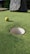 Close-up of a mini golf ball rolling toward the hole on a vibrant course.