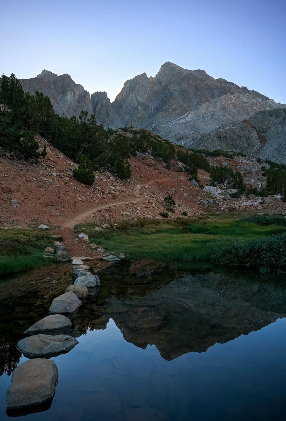 a river with rocks and grass