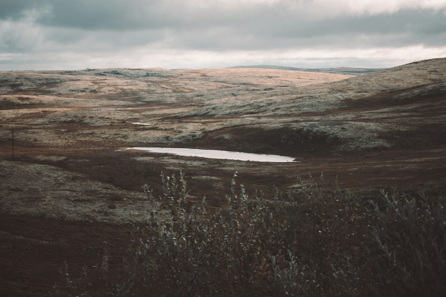 Largest Tundra Regions in the World: Frozen Landscapes at the Edge of Civilization