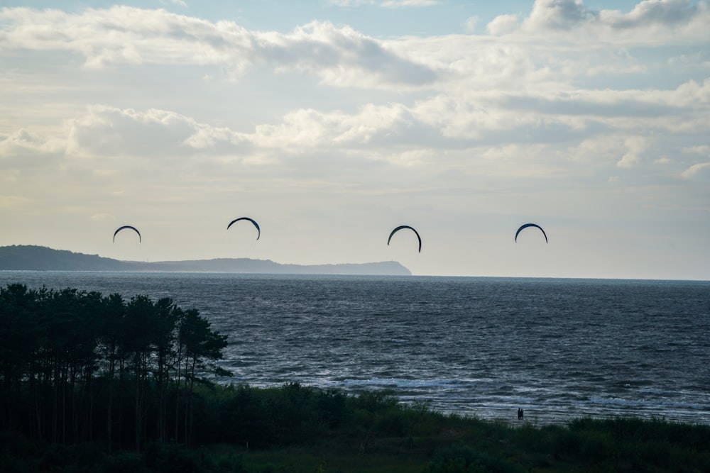 a group of people parasailing over a body of water