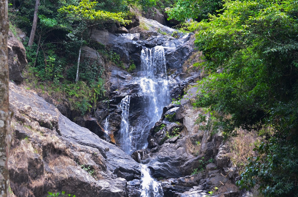 a waterfall in a forest