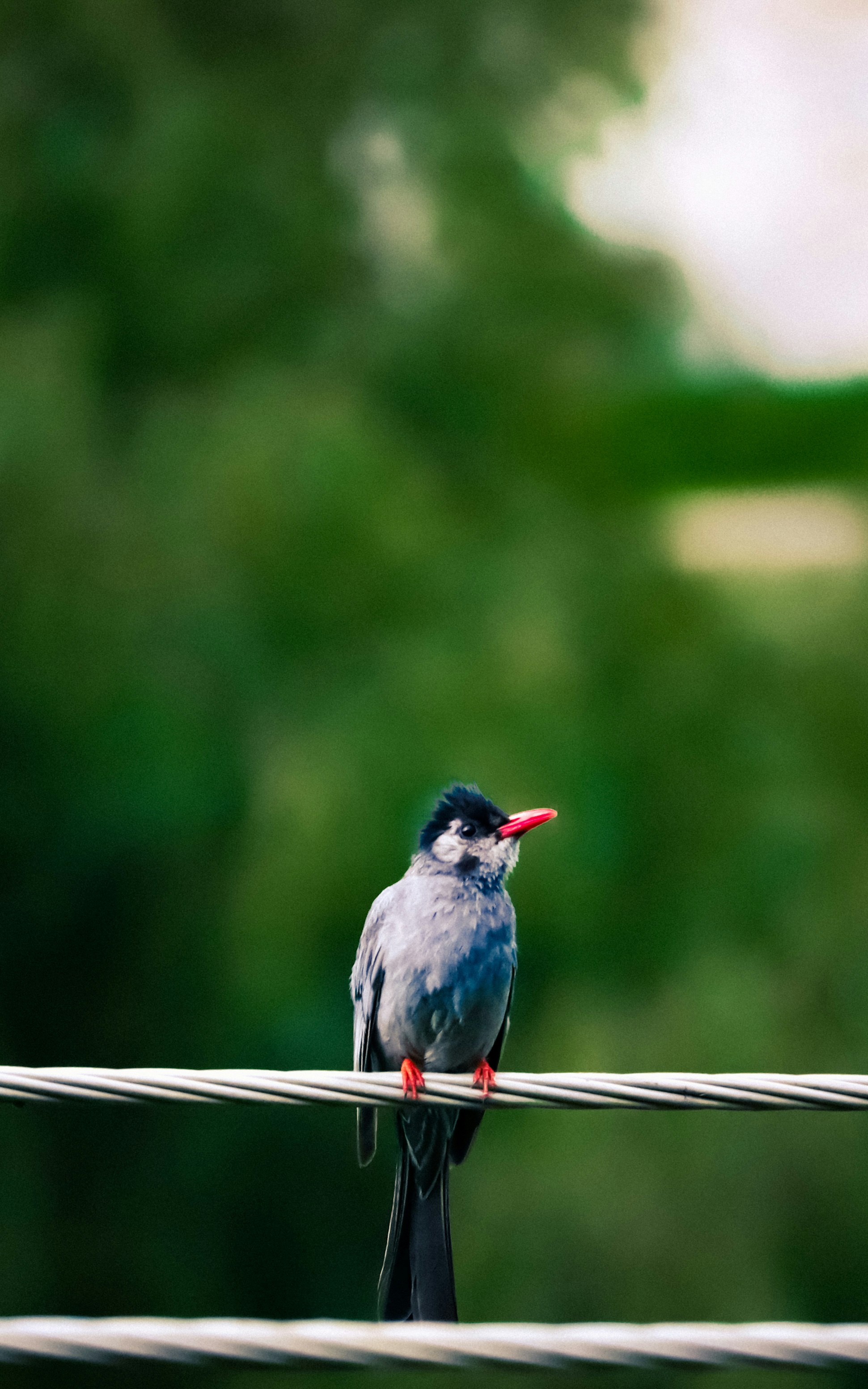 Photo by soonamwooeser