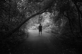 a person walking down a path in the woods