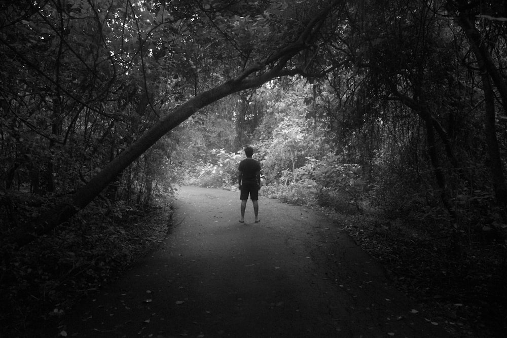 a person walking down a path in the woods