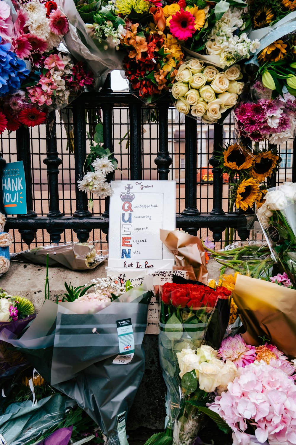 Un grupo de flores en un jardín