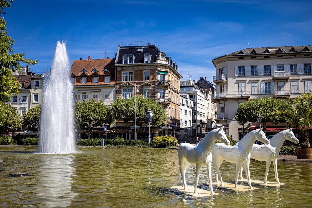 a fountain in a pond