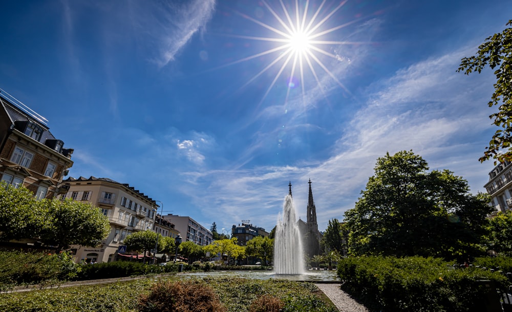 a fountain in a garden