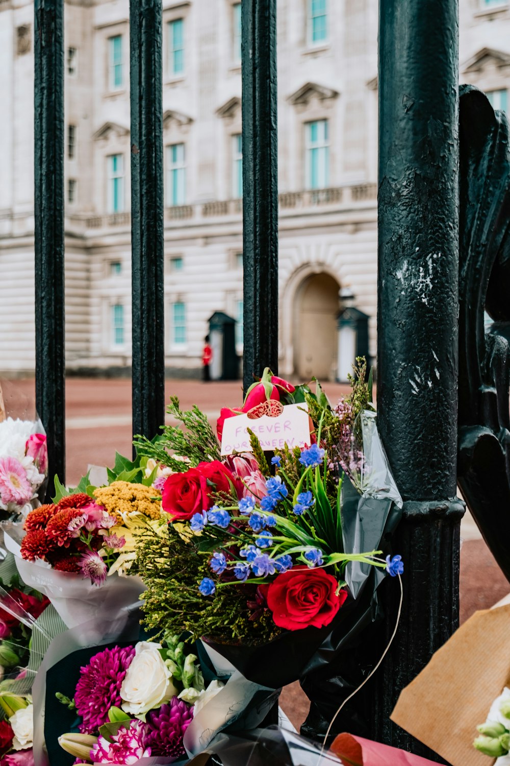 Eine Gruppe von Blumen in einem Fenster