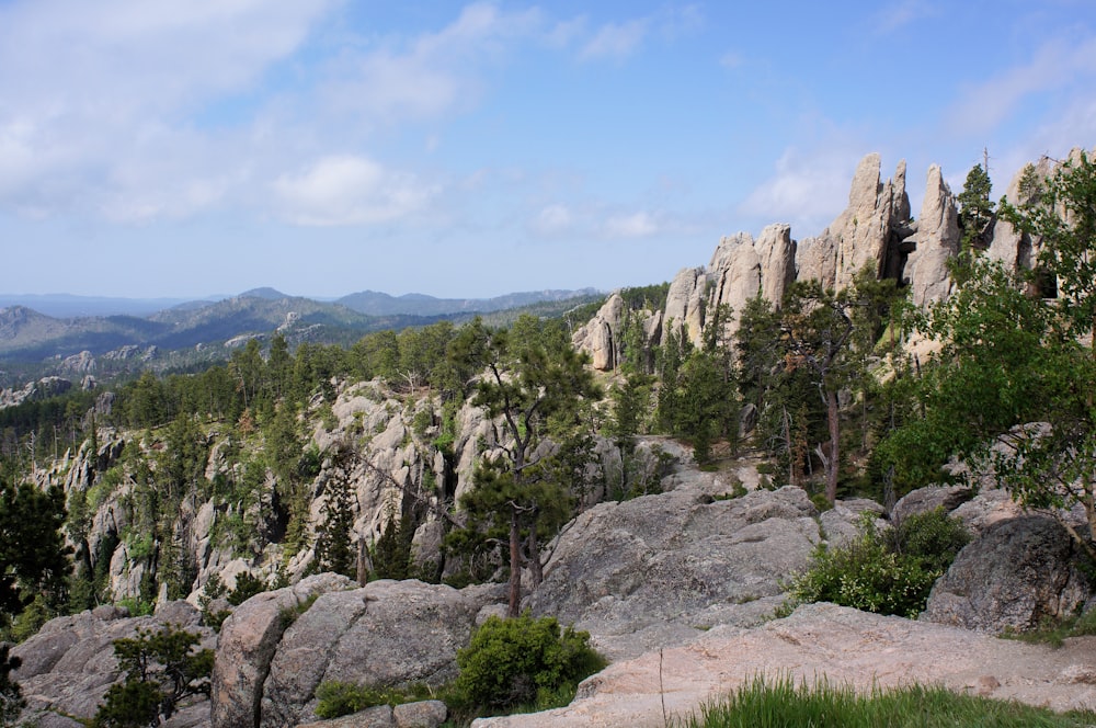 a rocky landscape with trees and mountains