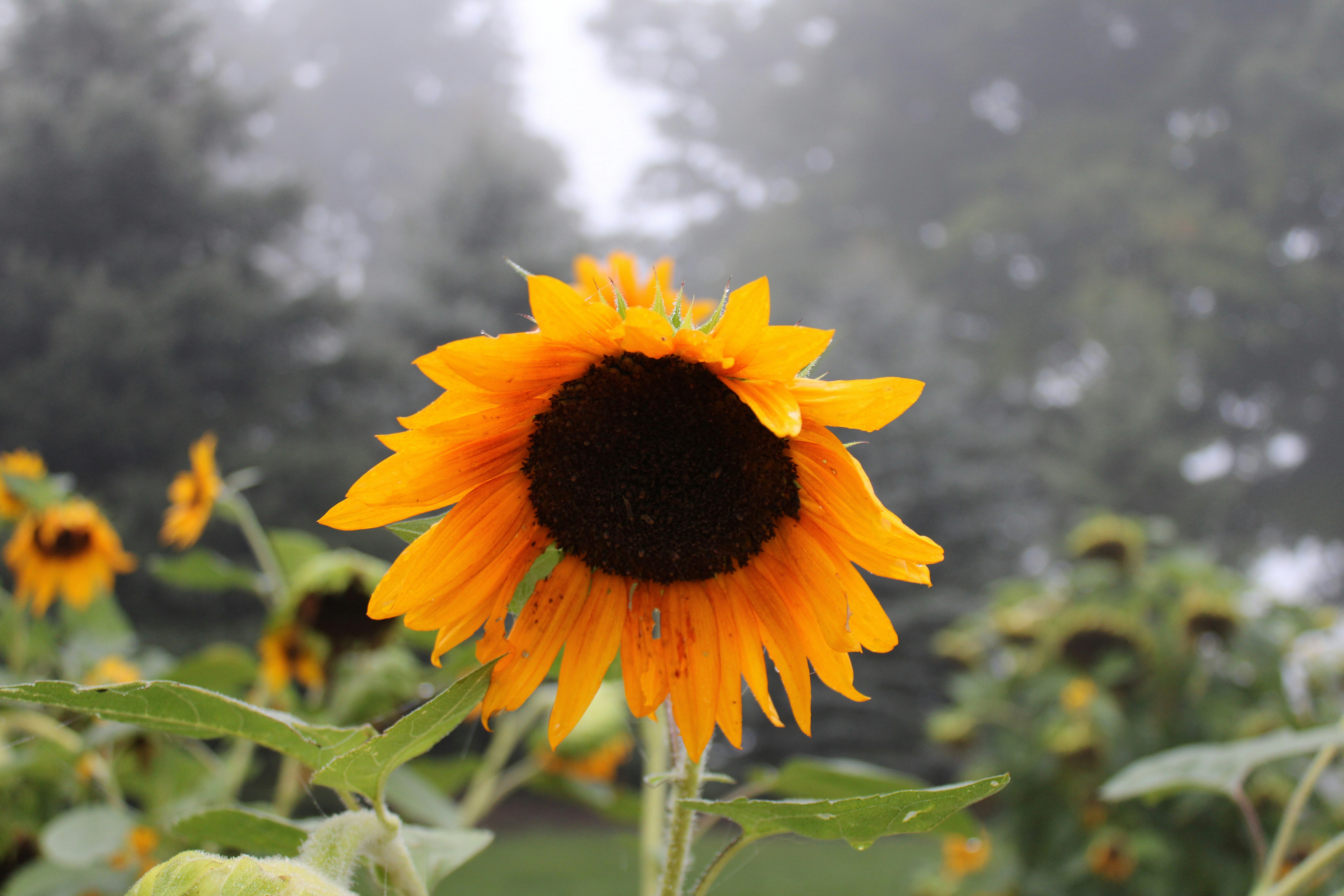 Photo by marie_martin1