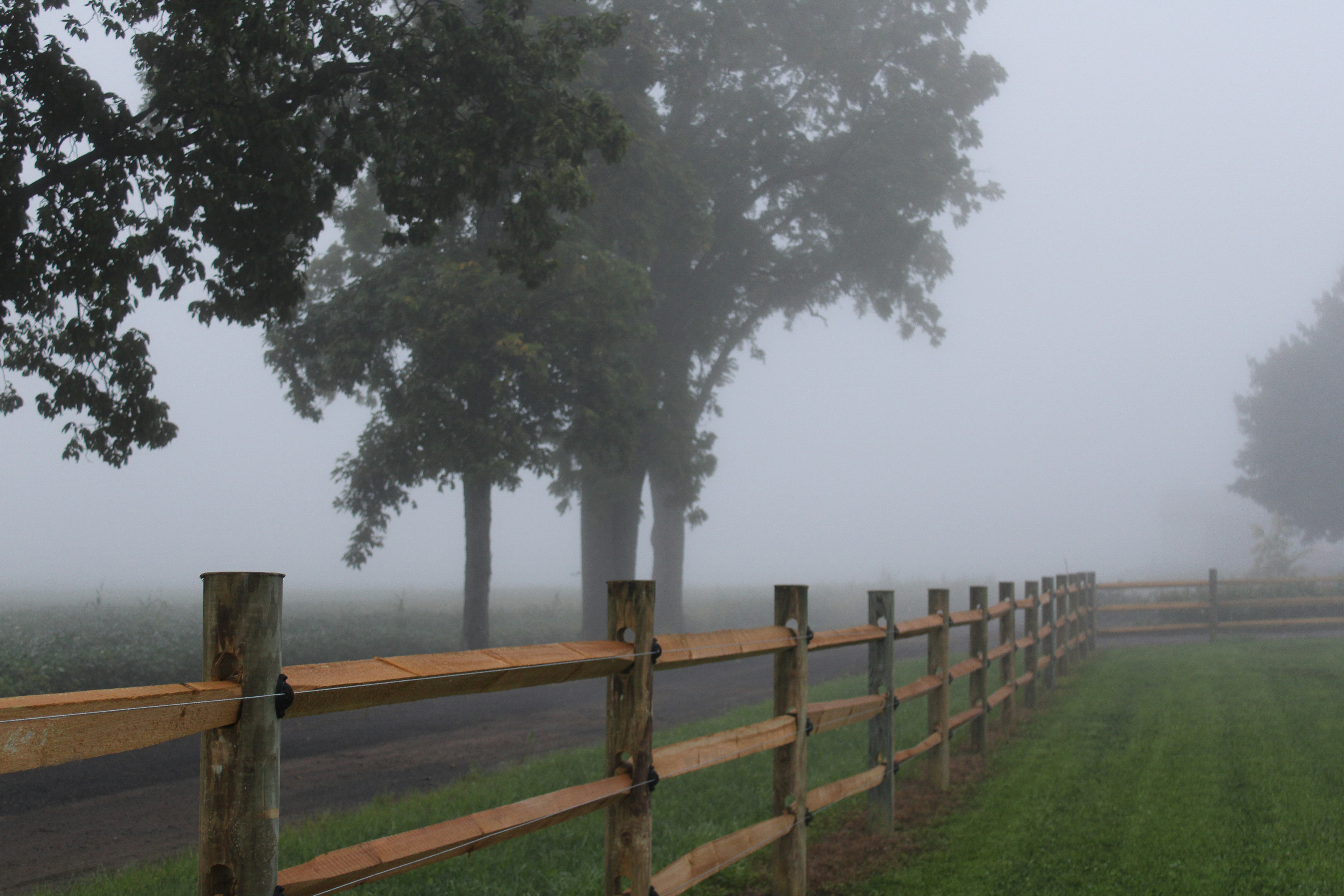 a wooden fence in a foggy field