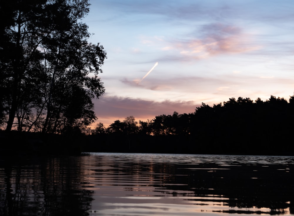 a body of water with trees around it