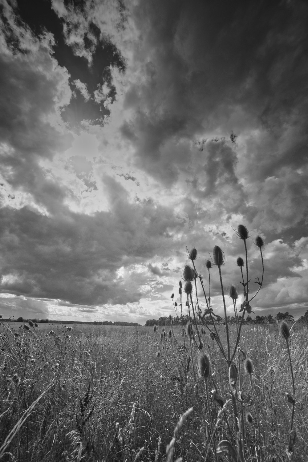 Un campo con algunas personas en él y un cielo nublado arriba