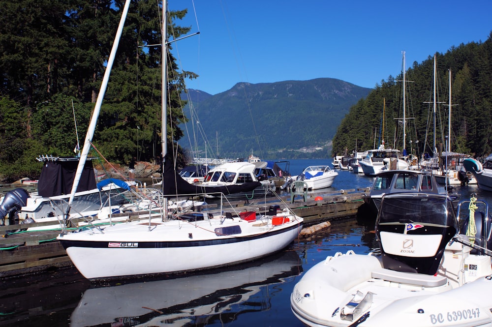 boats docked at a pier