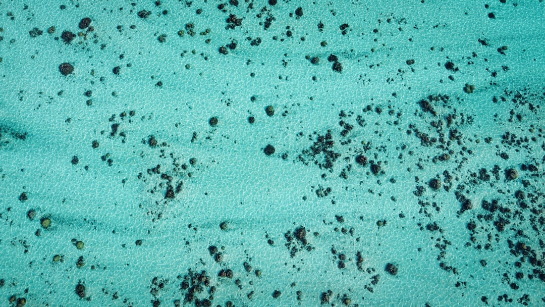 Bora Bora : quel est le meilleur moment pour y aller ?