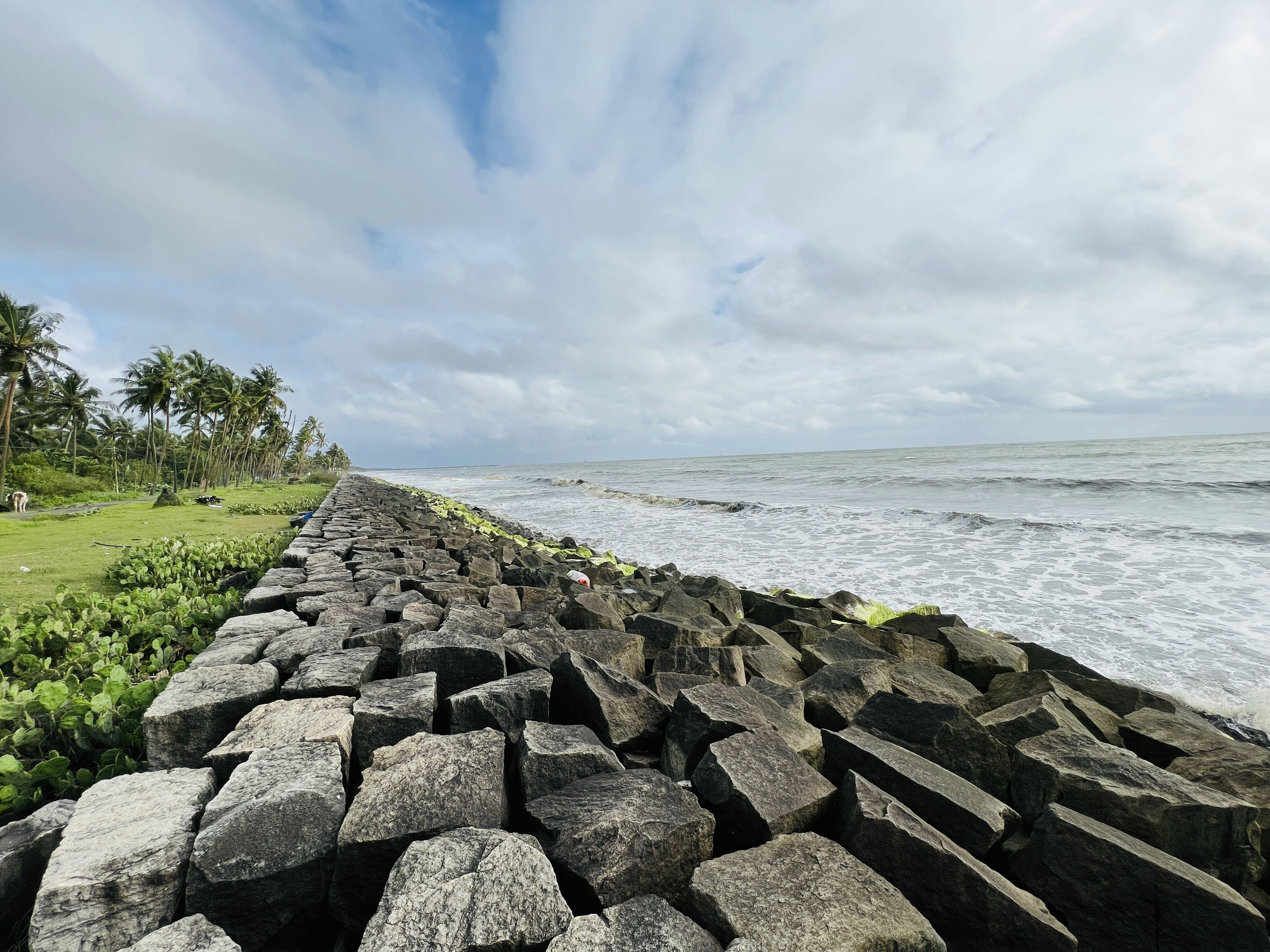 a rocky beach with trees and grass