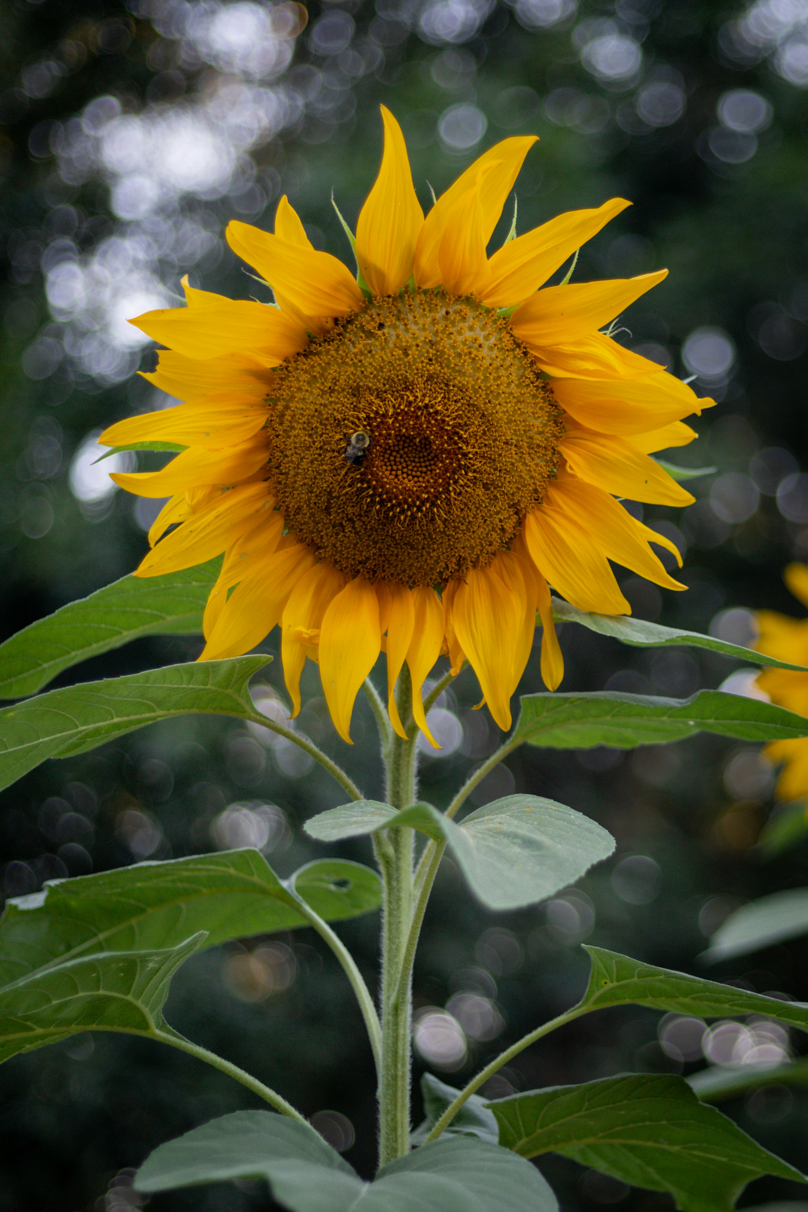 Photo by bonniekdesign