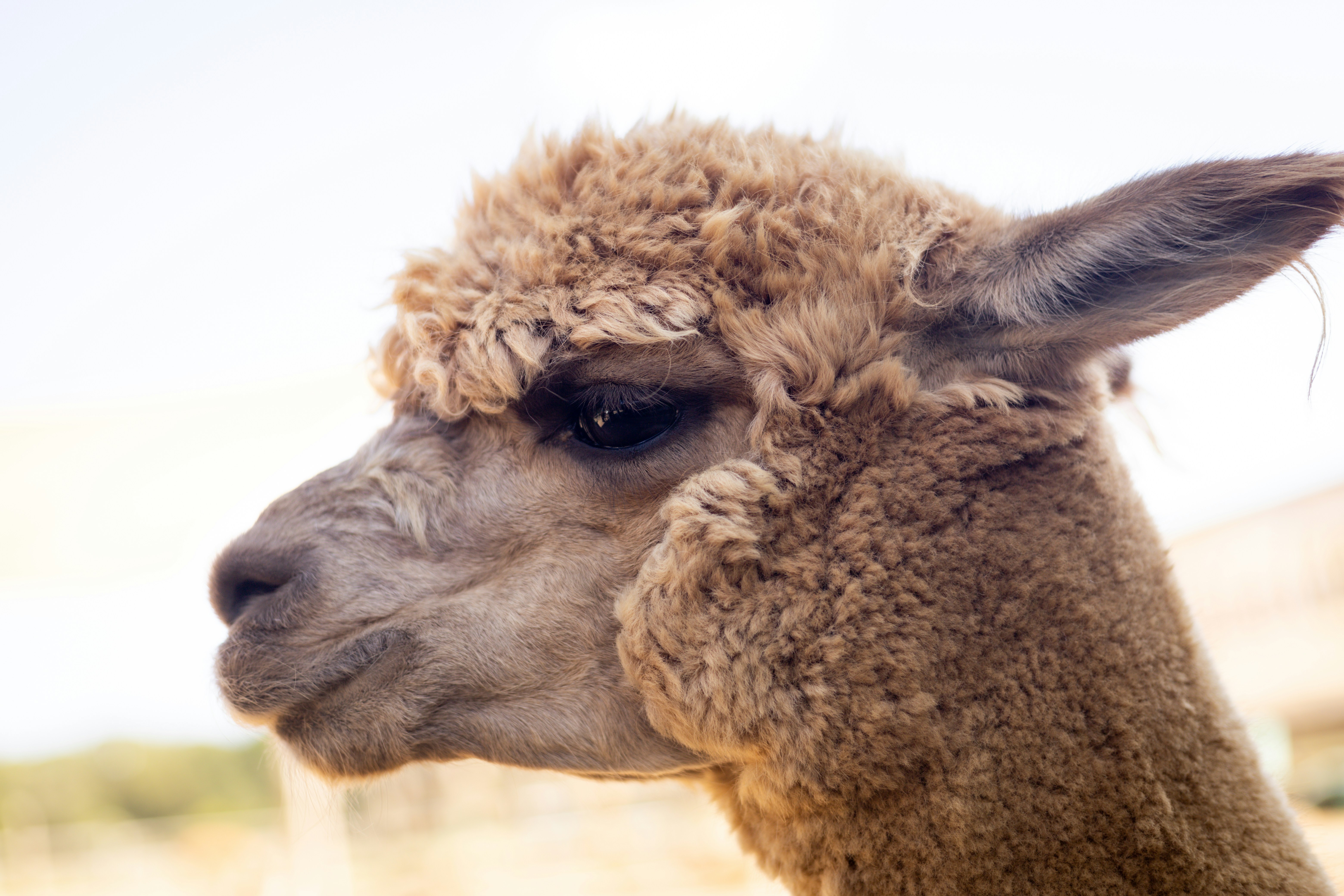 Photo by bonniekdesign