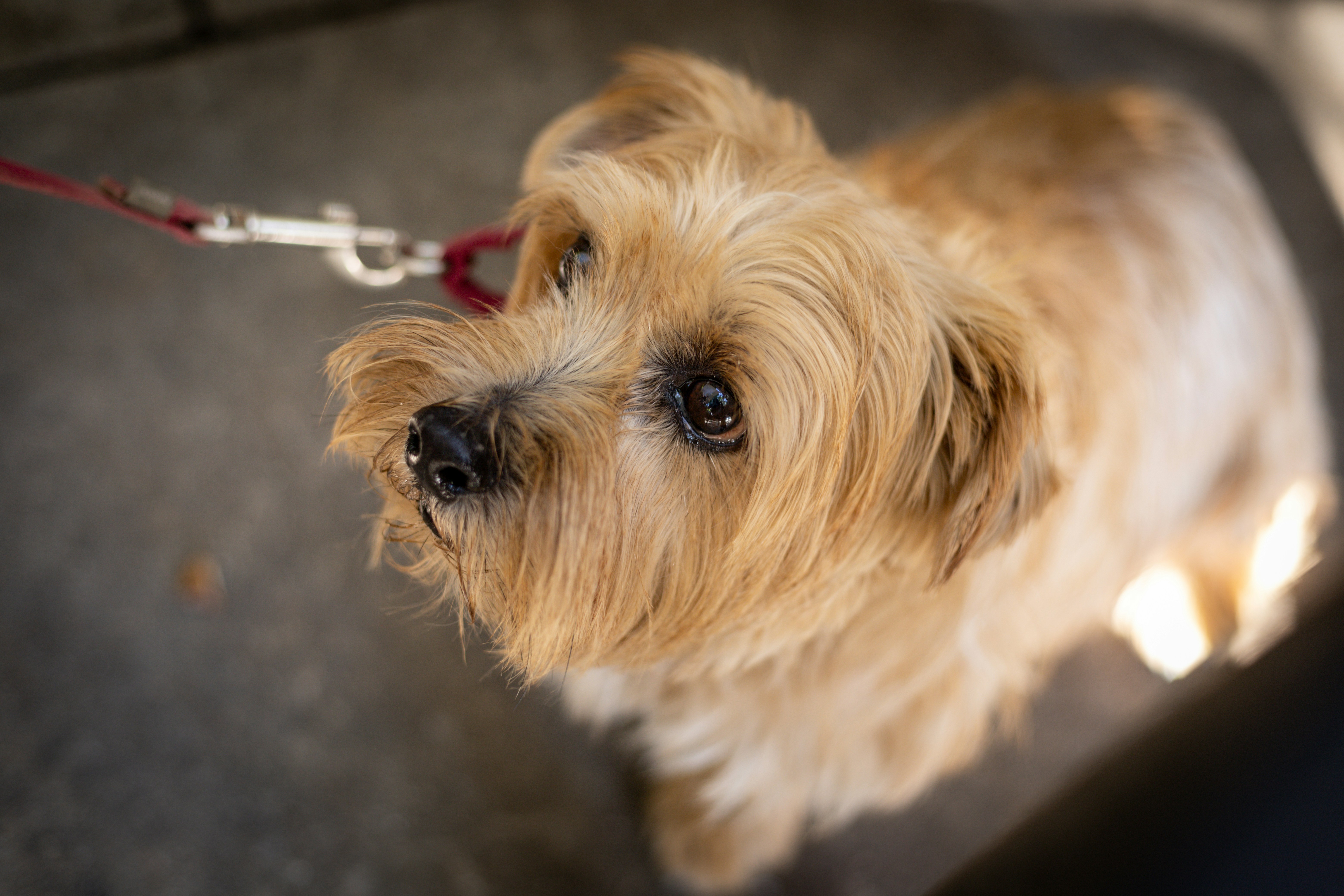 Photo by bonniekdesign