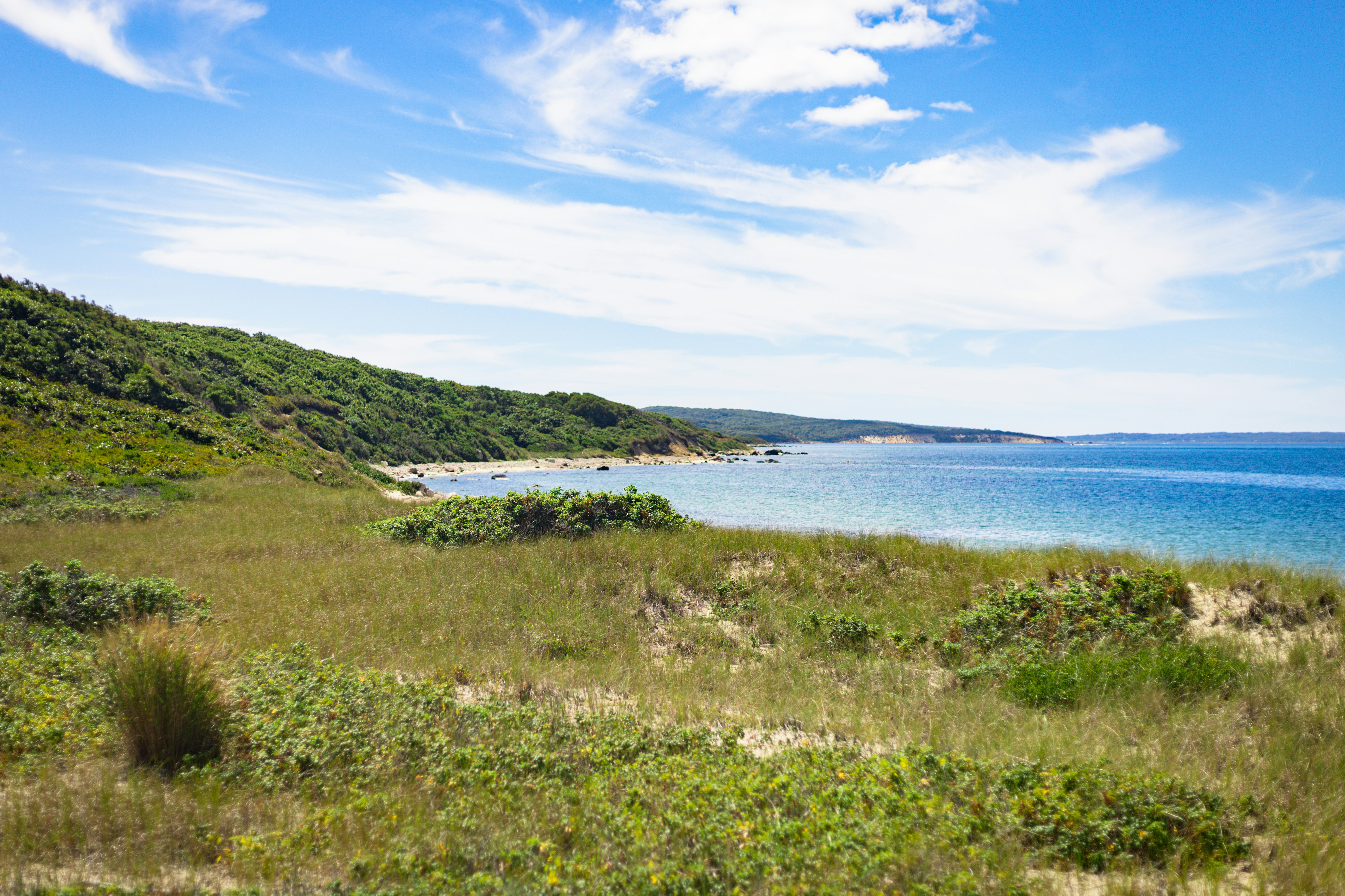 Photo by bonniekdesign