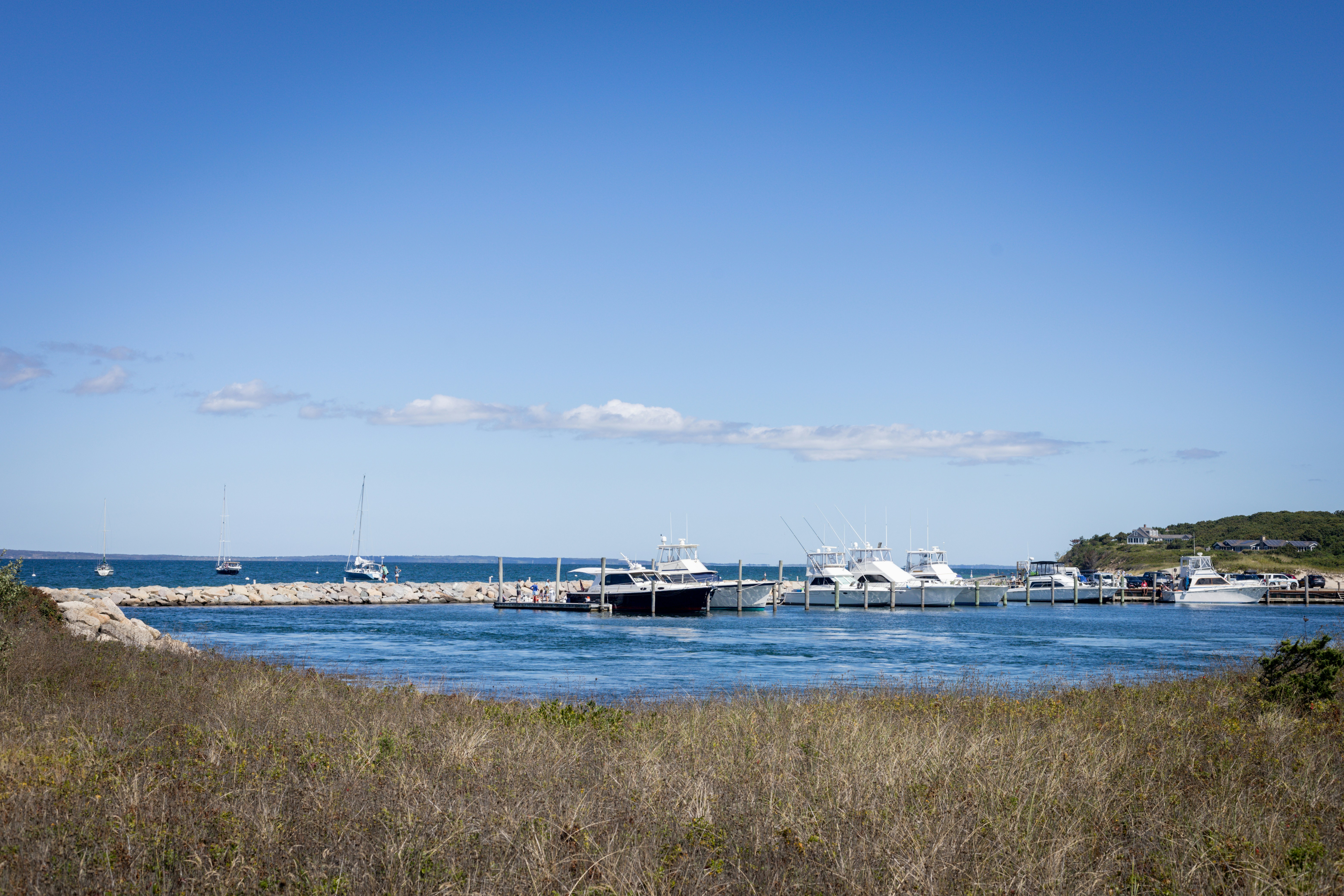 Photo by bonniekdesign