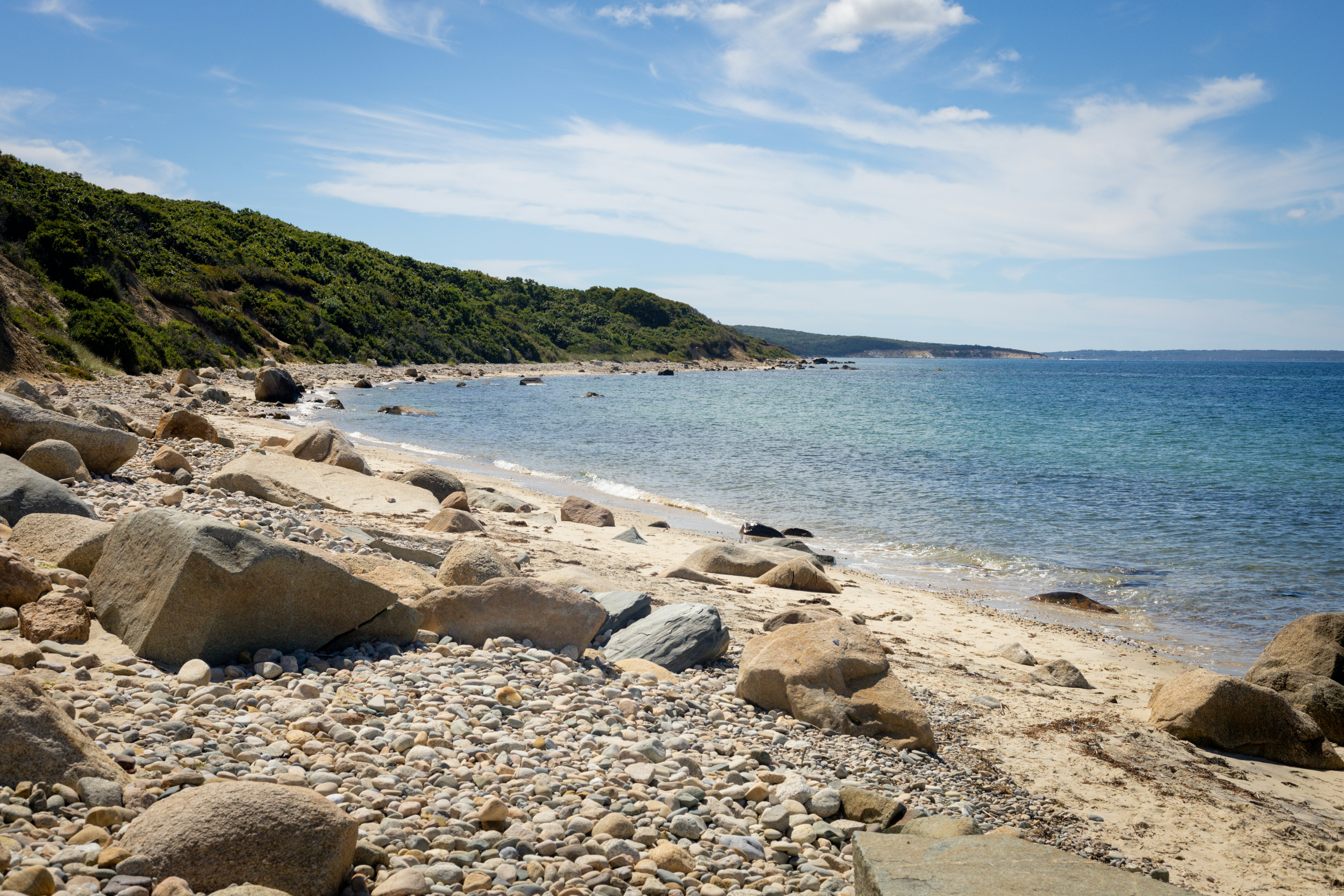 Photo by bonniekdesign