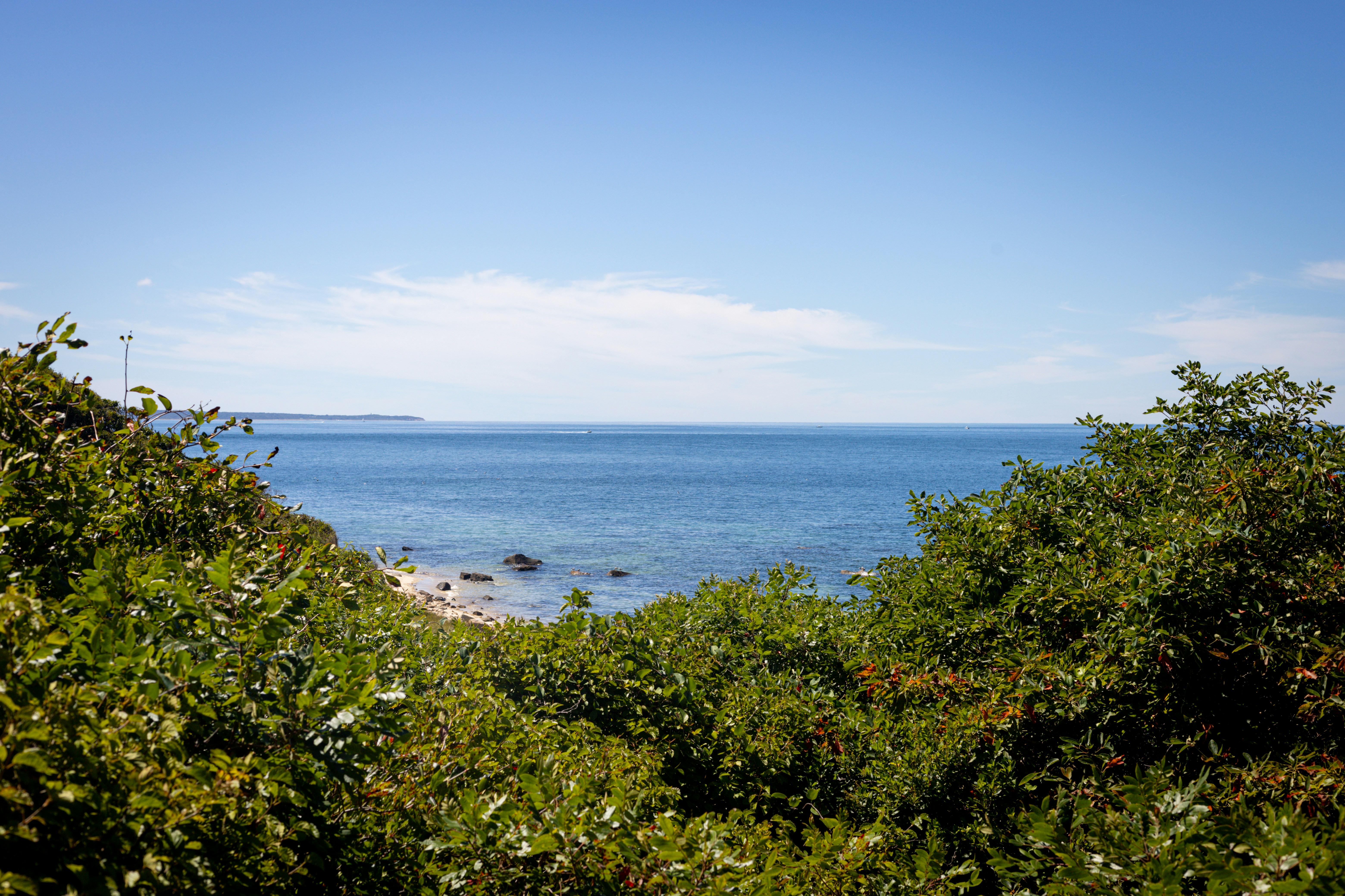 Photo by bonniekdesign