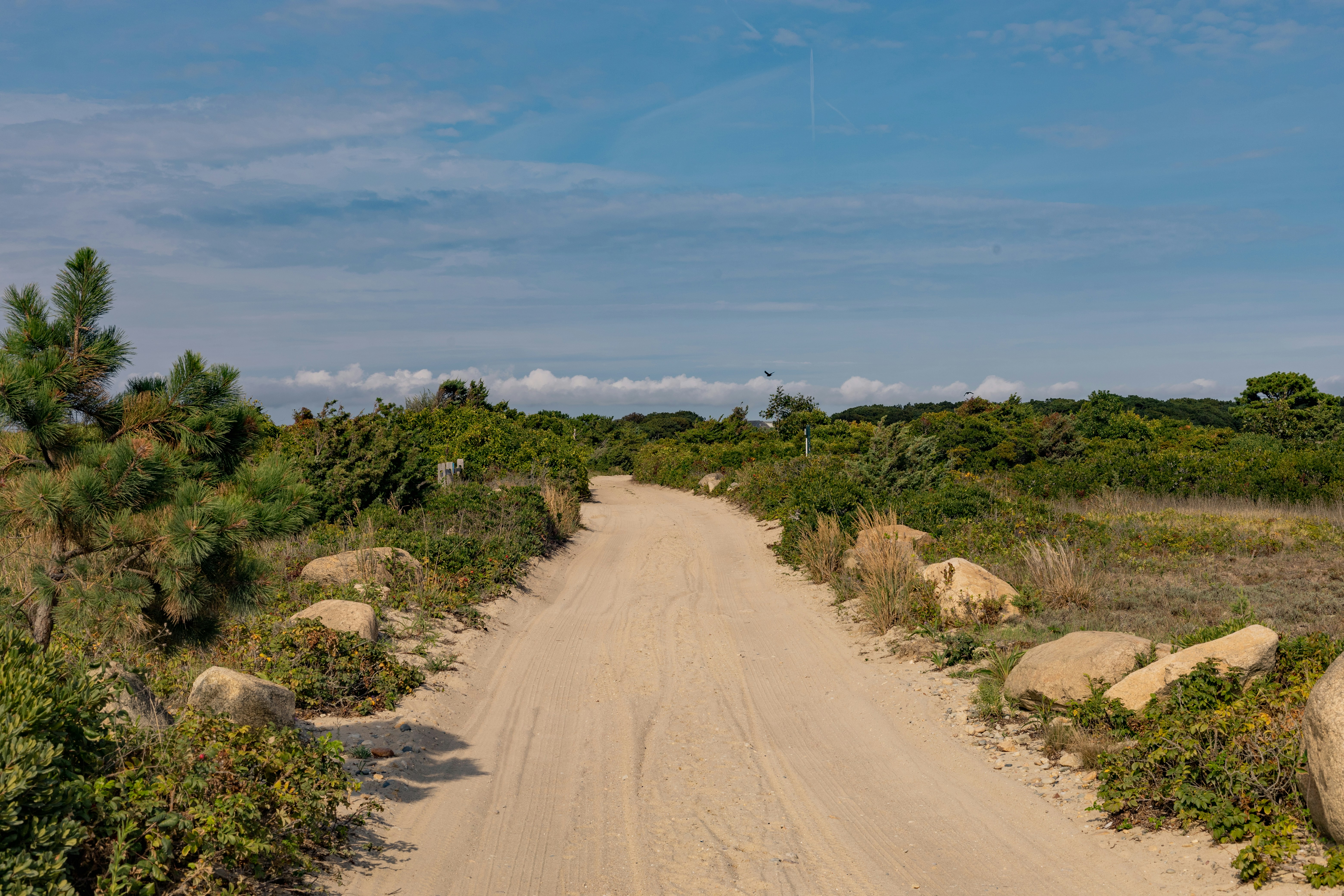 Photo by bonniekdesign