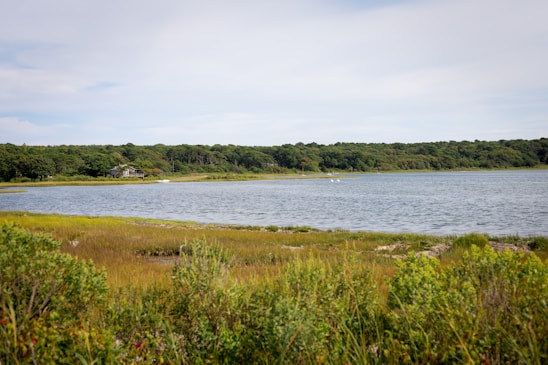 A serene landscape showcasing lush greenery and local wildlife.