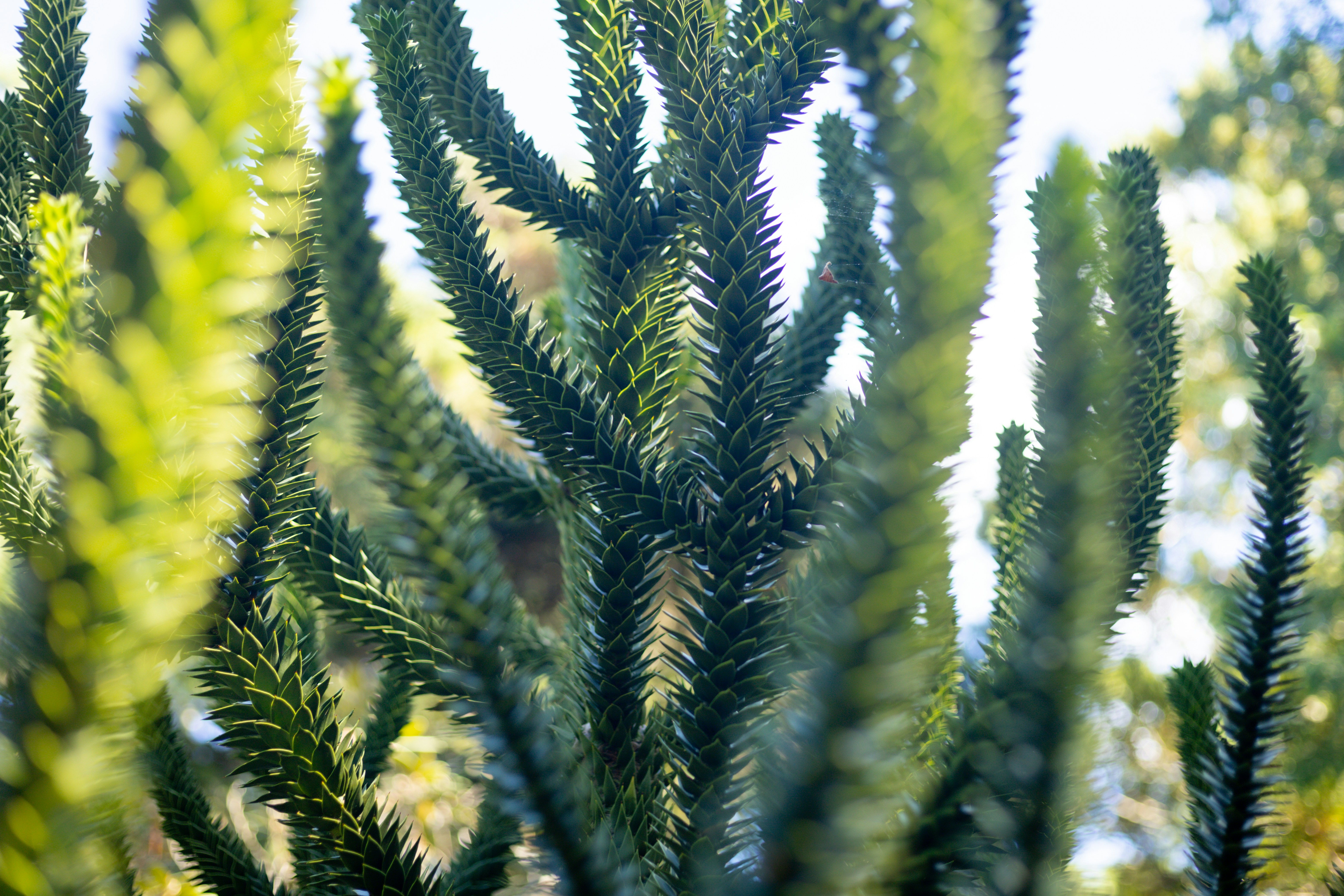 Photo by bonniekdesign