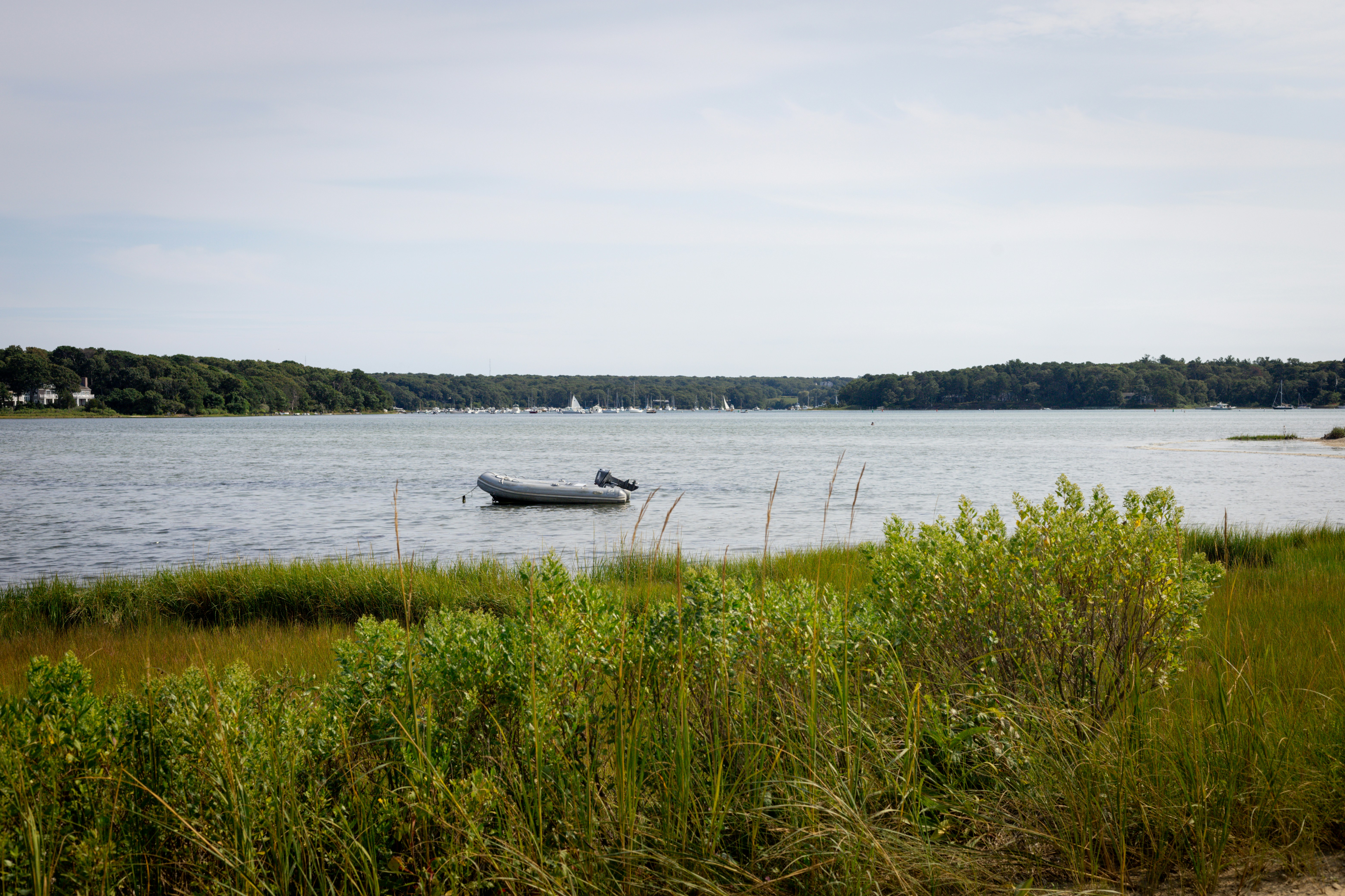 Photo by bonniekdesign