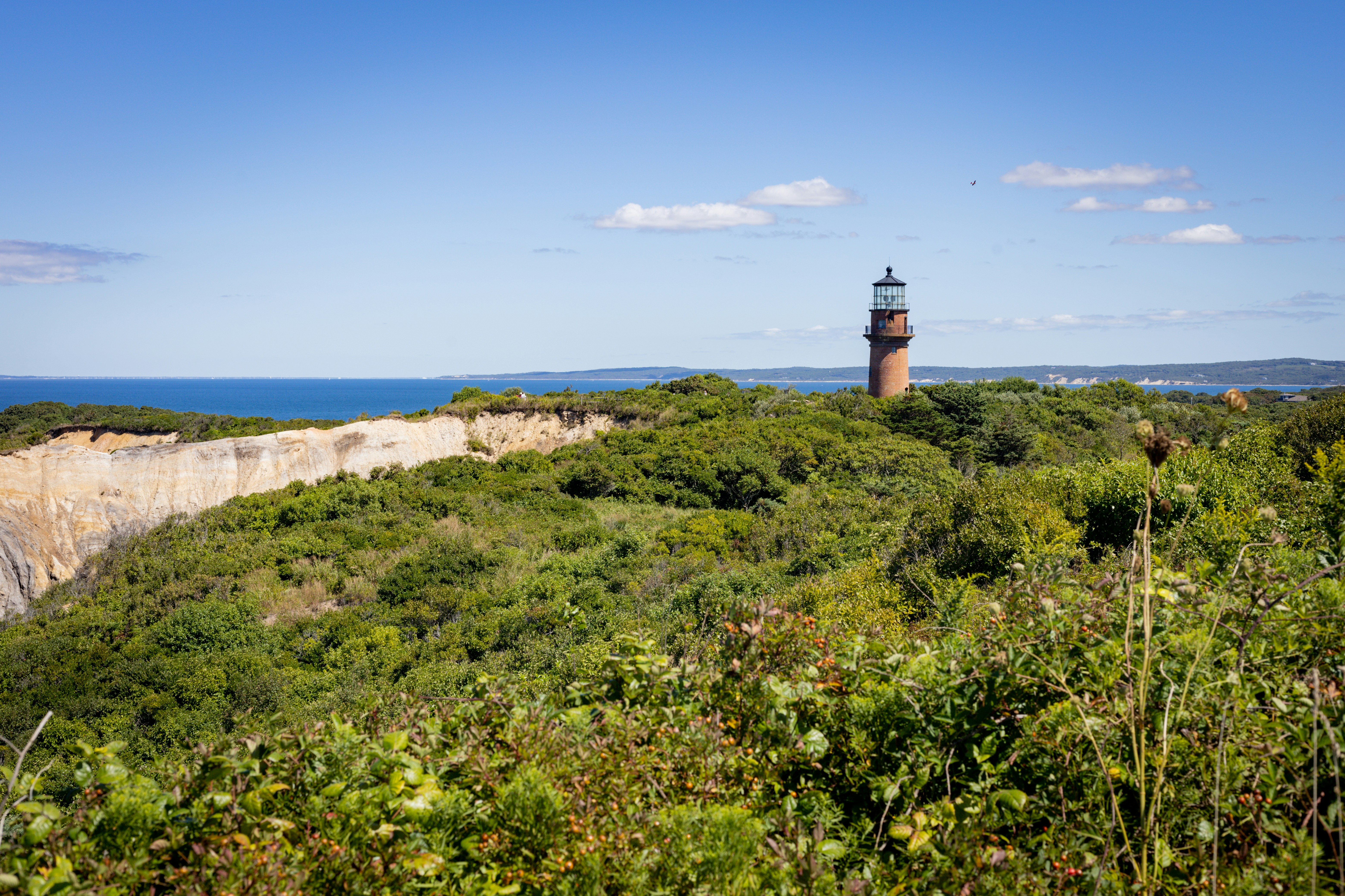 Photo by bonniekdesign