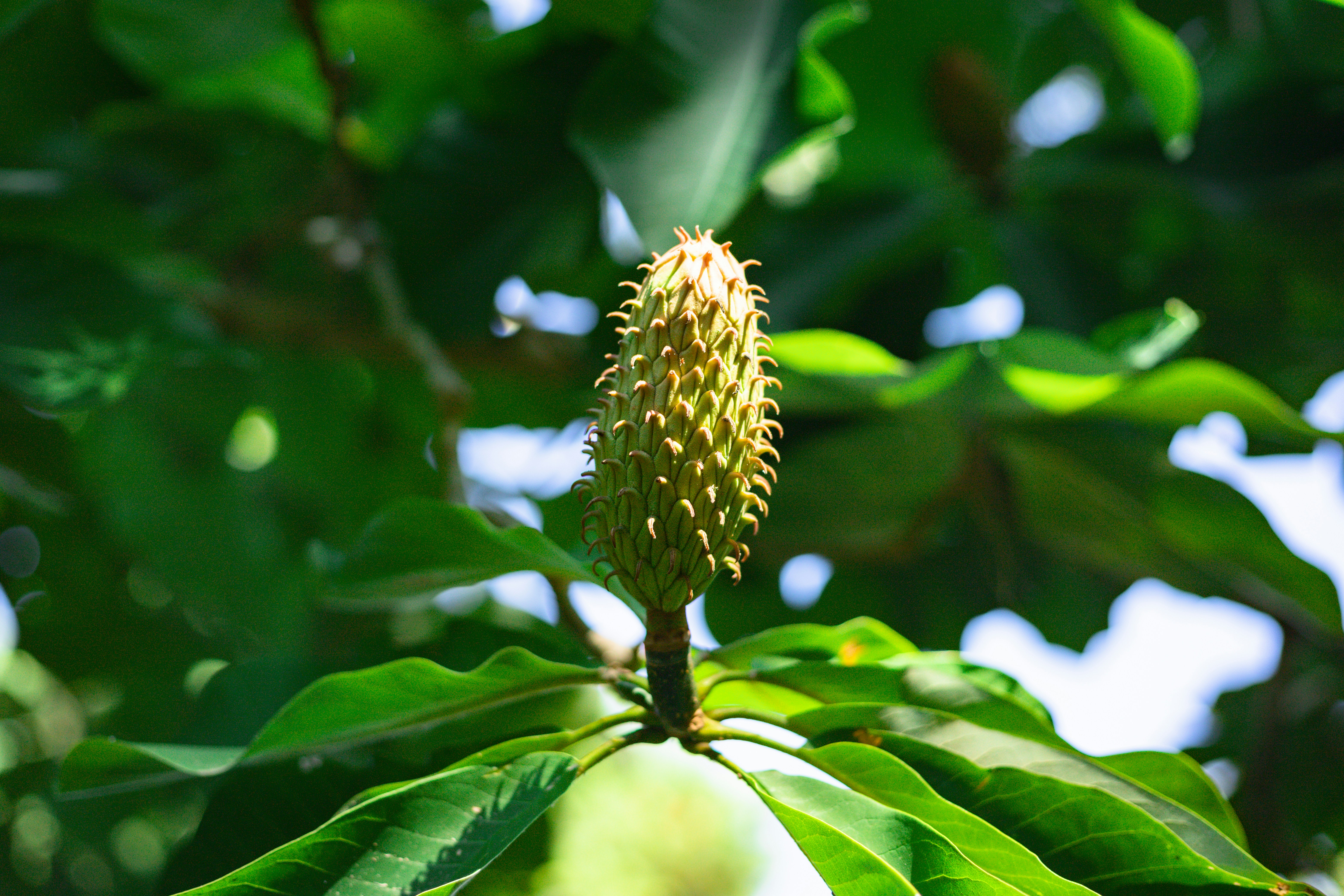 Photo by bonniekdesign