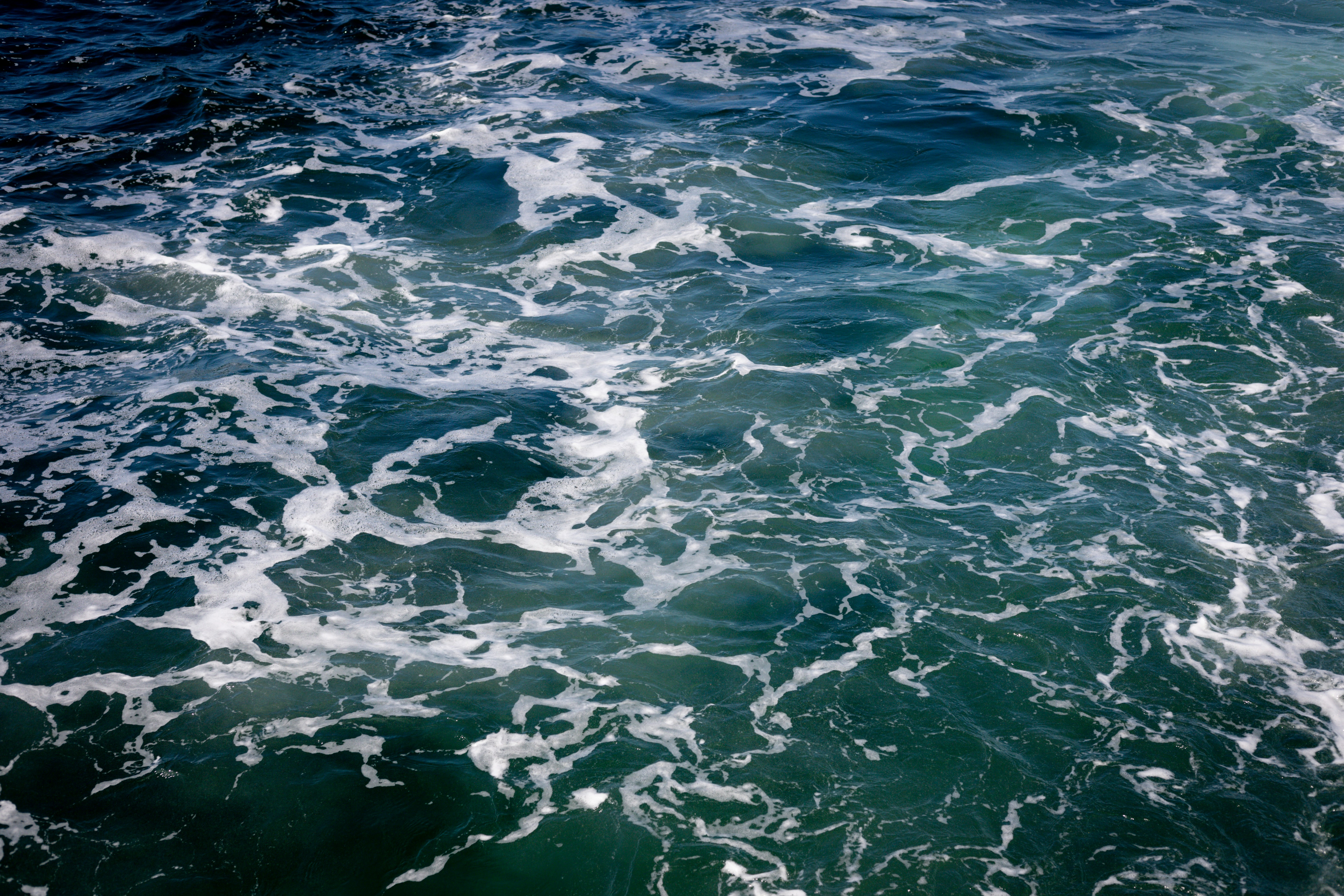 Photo by bonniekdesign