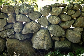 A stacked stone wall composed of irregularly shaped rocks, surrounded by green foliage and dappled with sunlight. The rocks vary in size and texture, with a mix of earthy tones like brown and grey, and some covered with spots of moss or lichen. Bright green leaves are visible at the top, suggesting a natural outdoor setting.