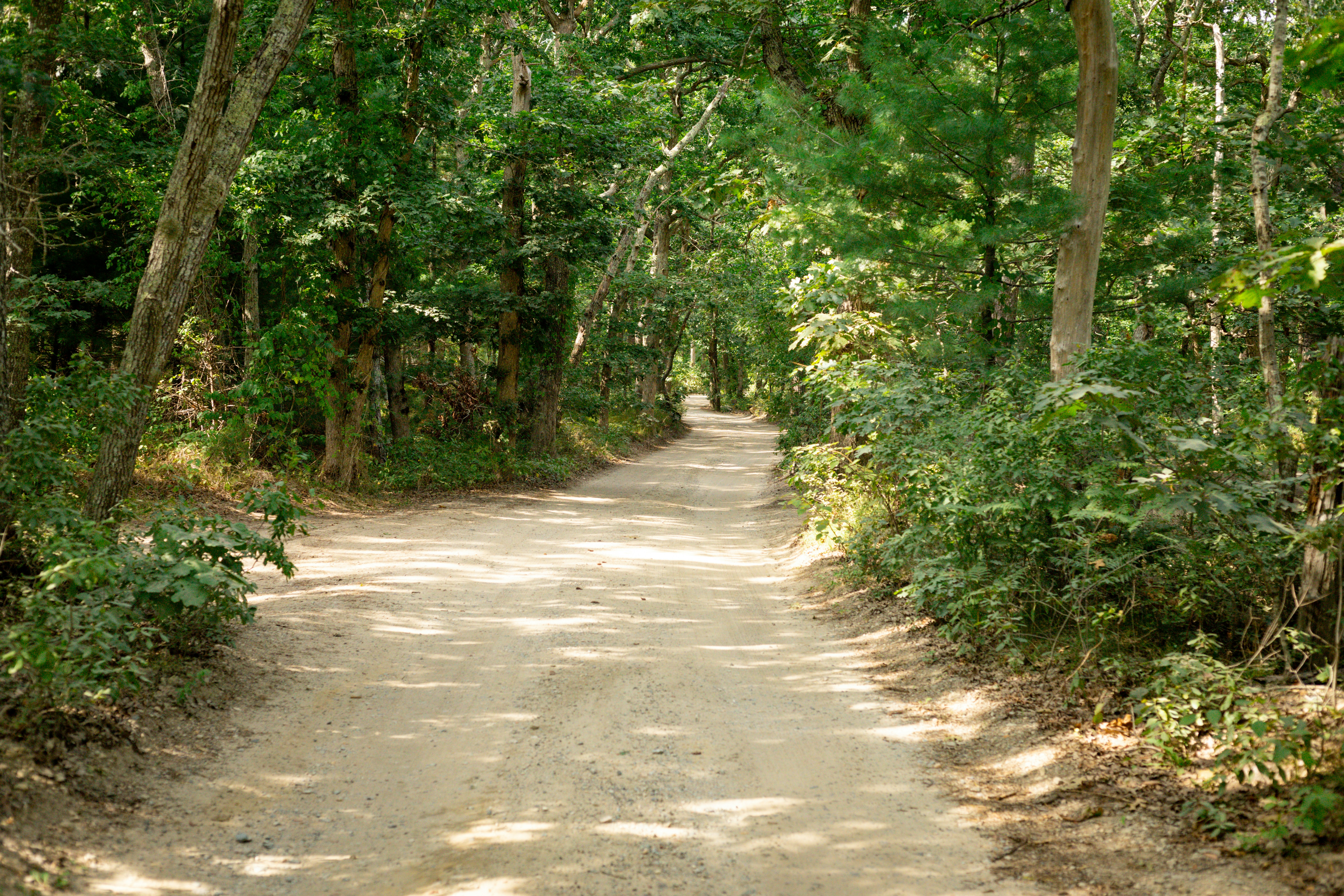 Photo by bonniekdesign