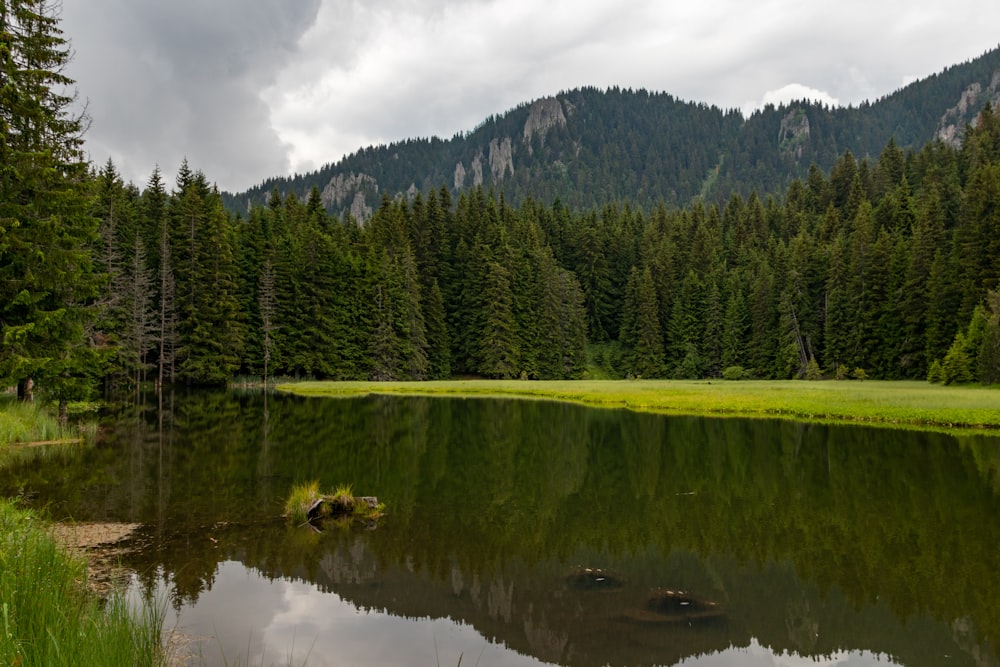 a lake surrounded by trees and mountains