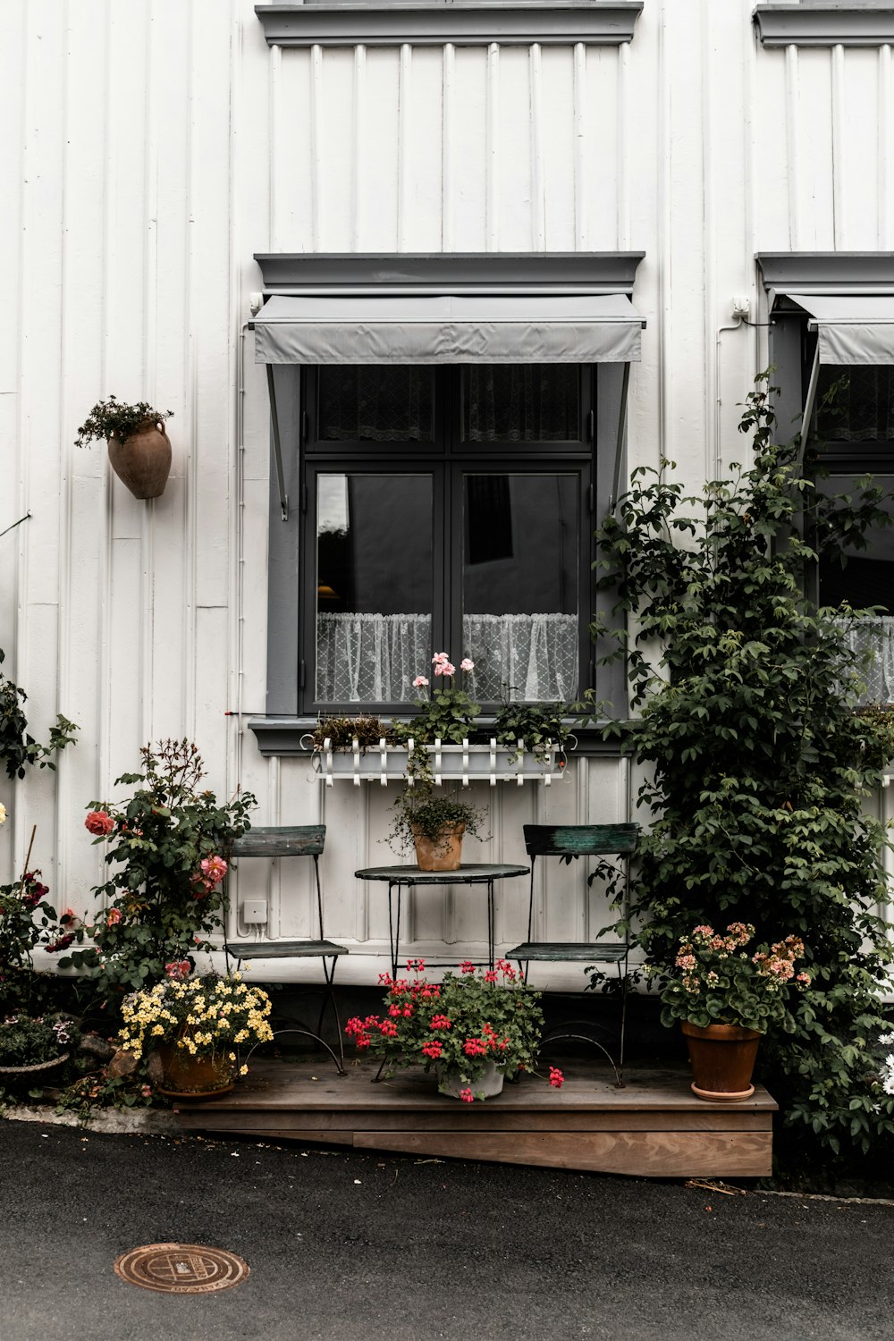 a white house with a black door and many potted plants