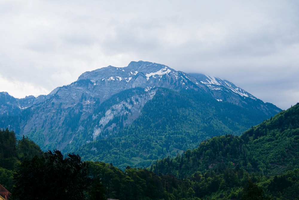 a mountain with trees below