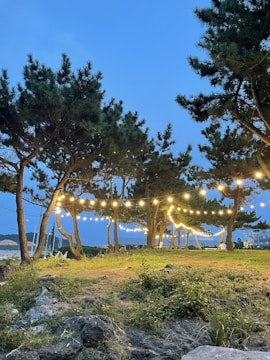 A serene outdoor setting with various light fixtures.