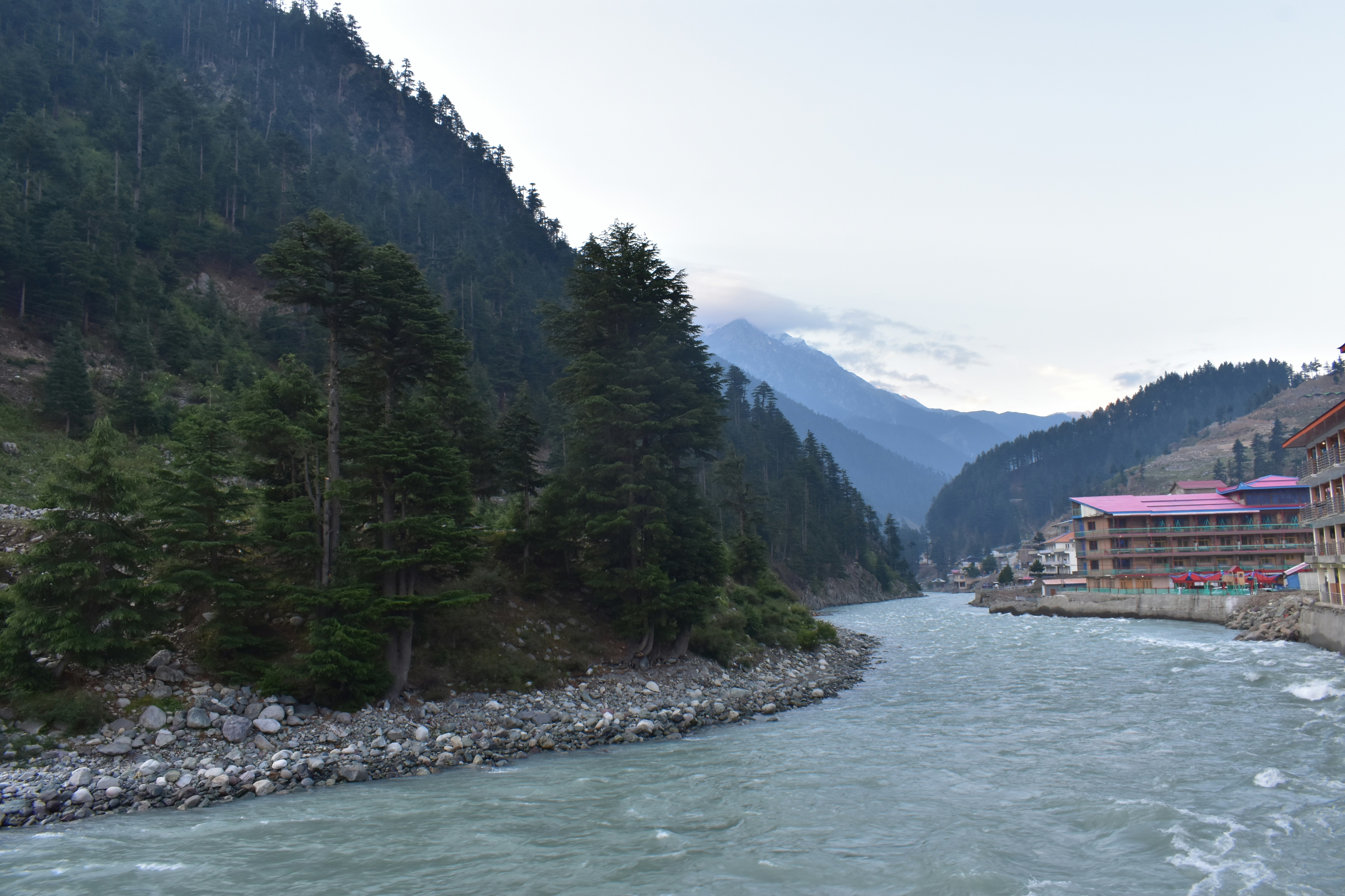 Photo by aroosaali9272