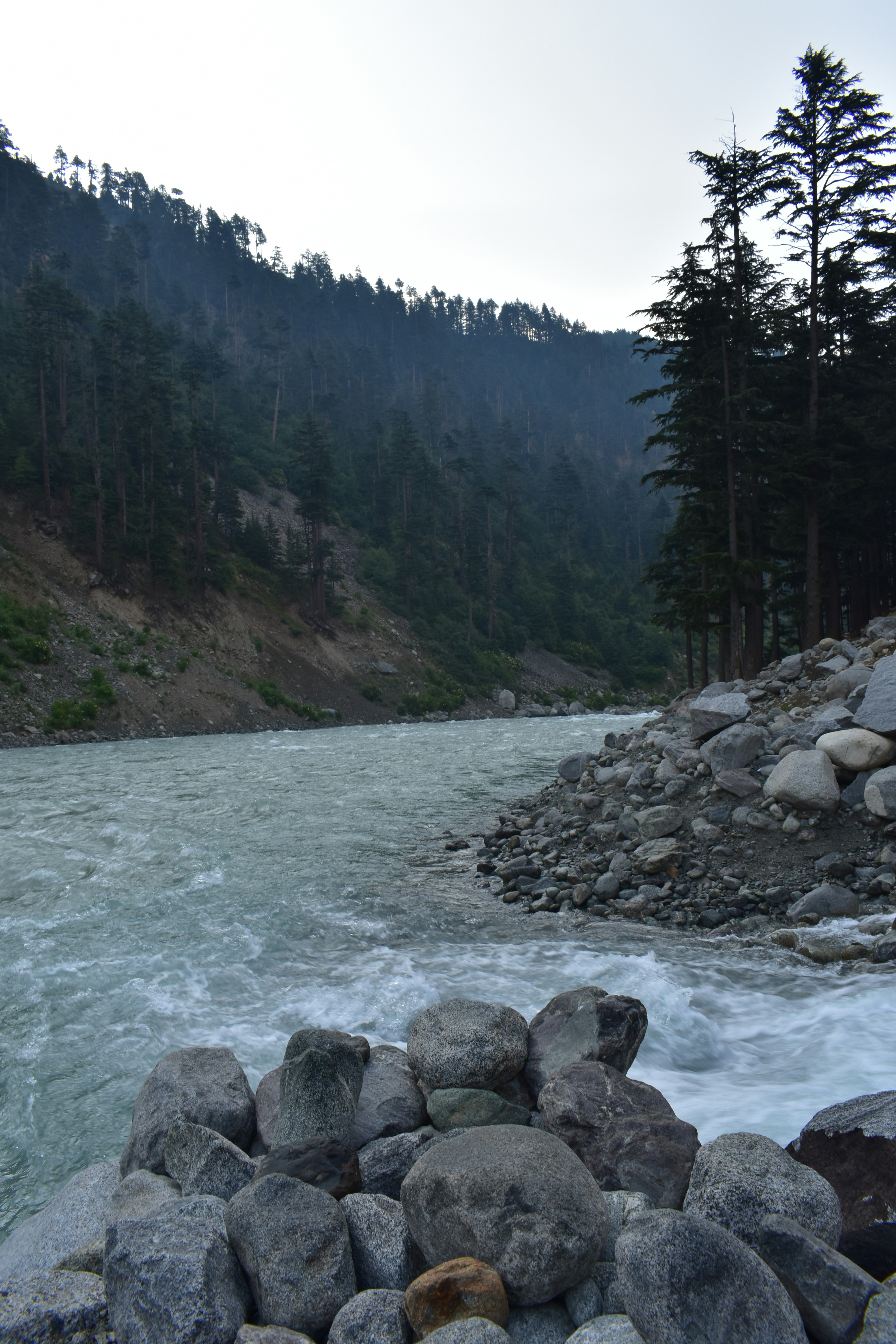 Photo by aroosaali9272