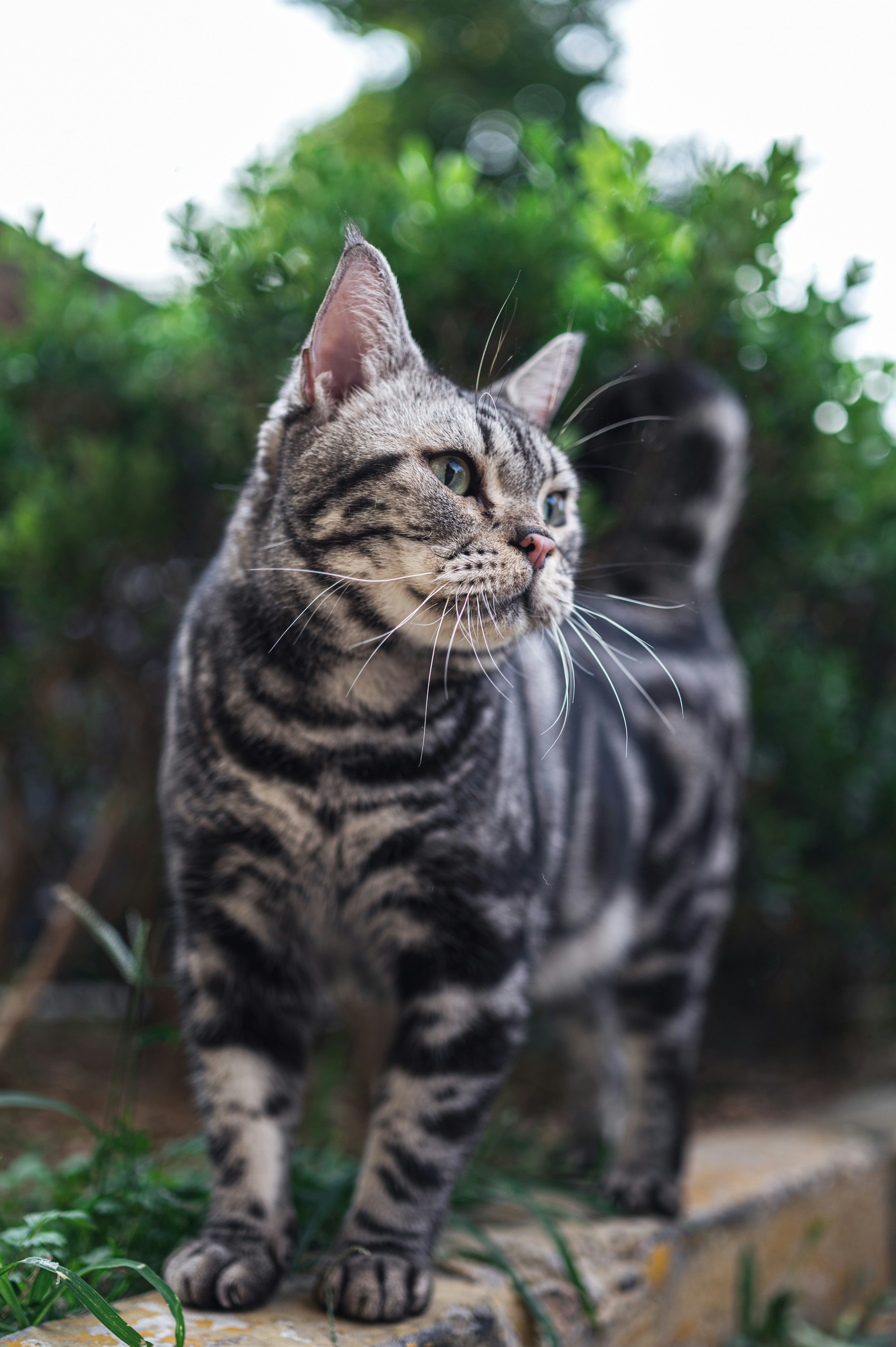 Photo by peek_a_boo_who