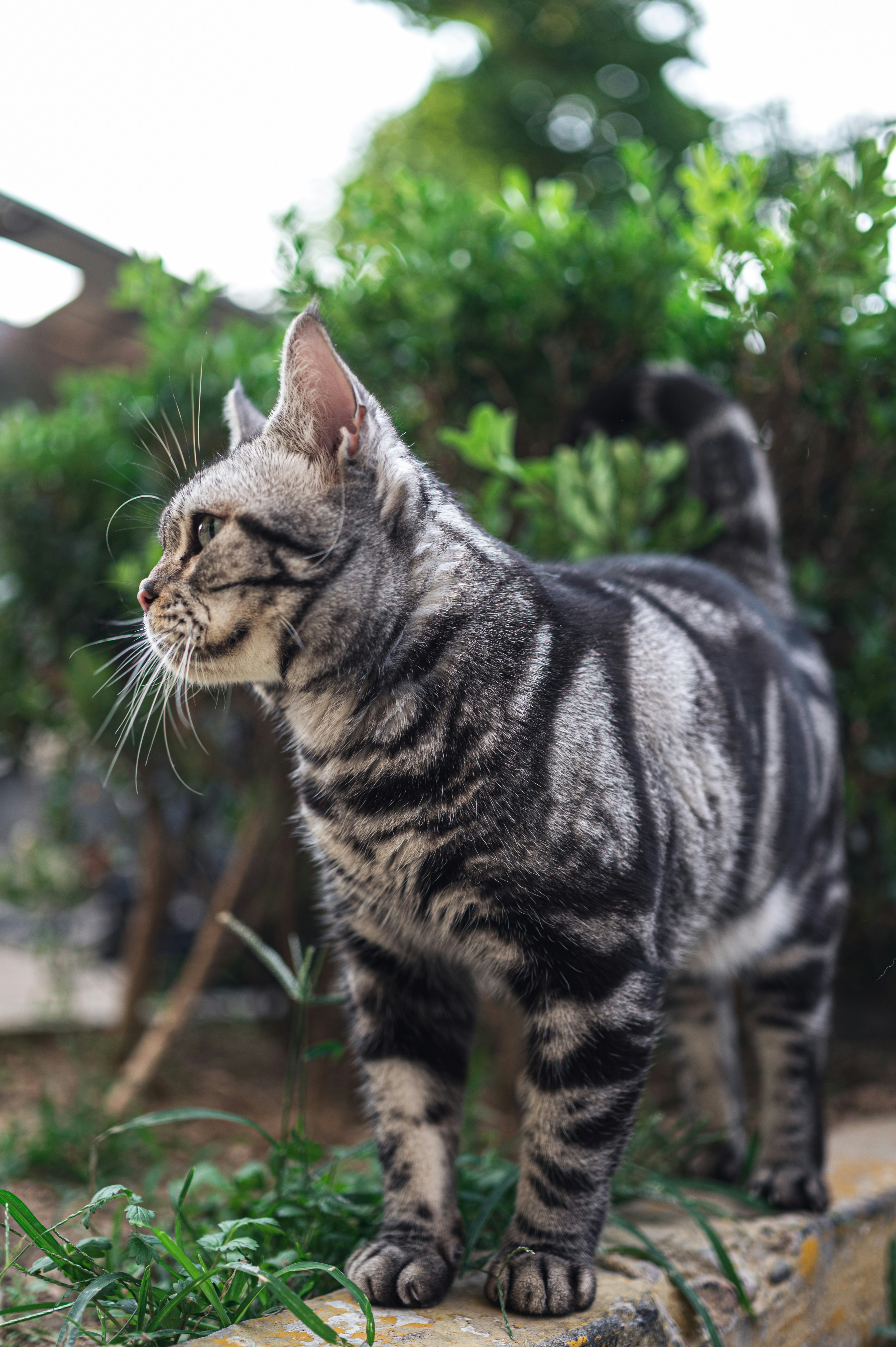 Photo by peek_a_boo_who