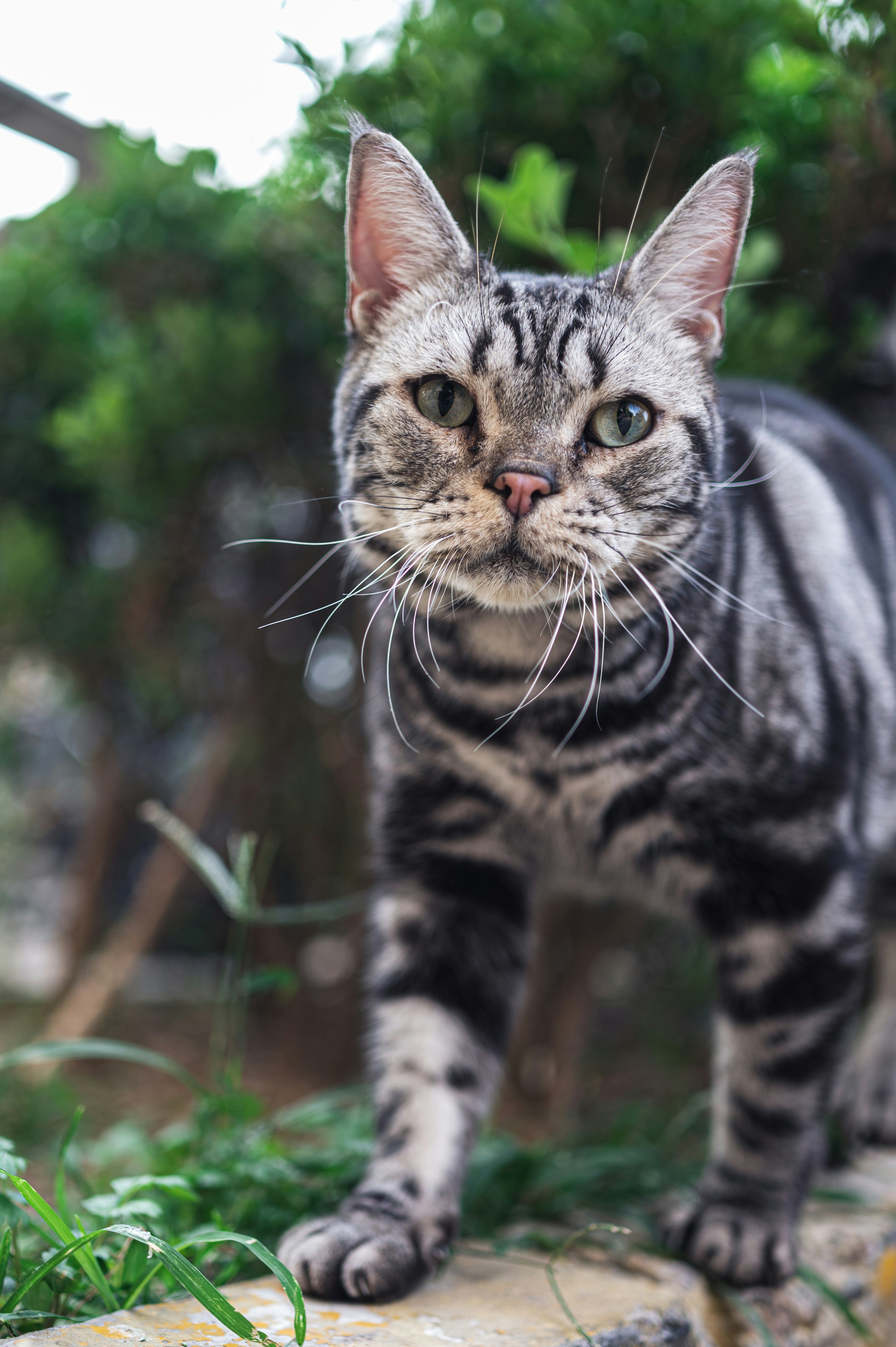 Photo by peek_a_boo_who