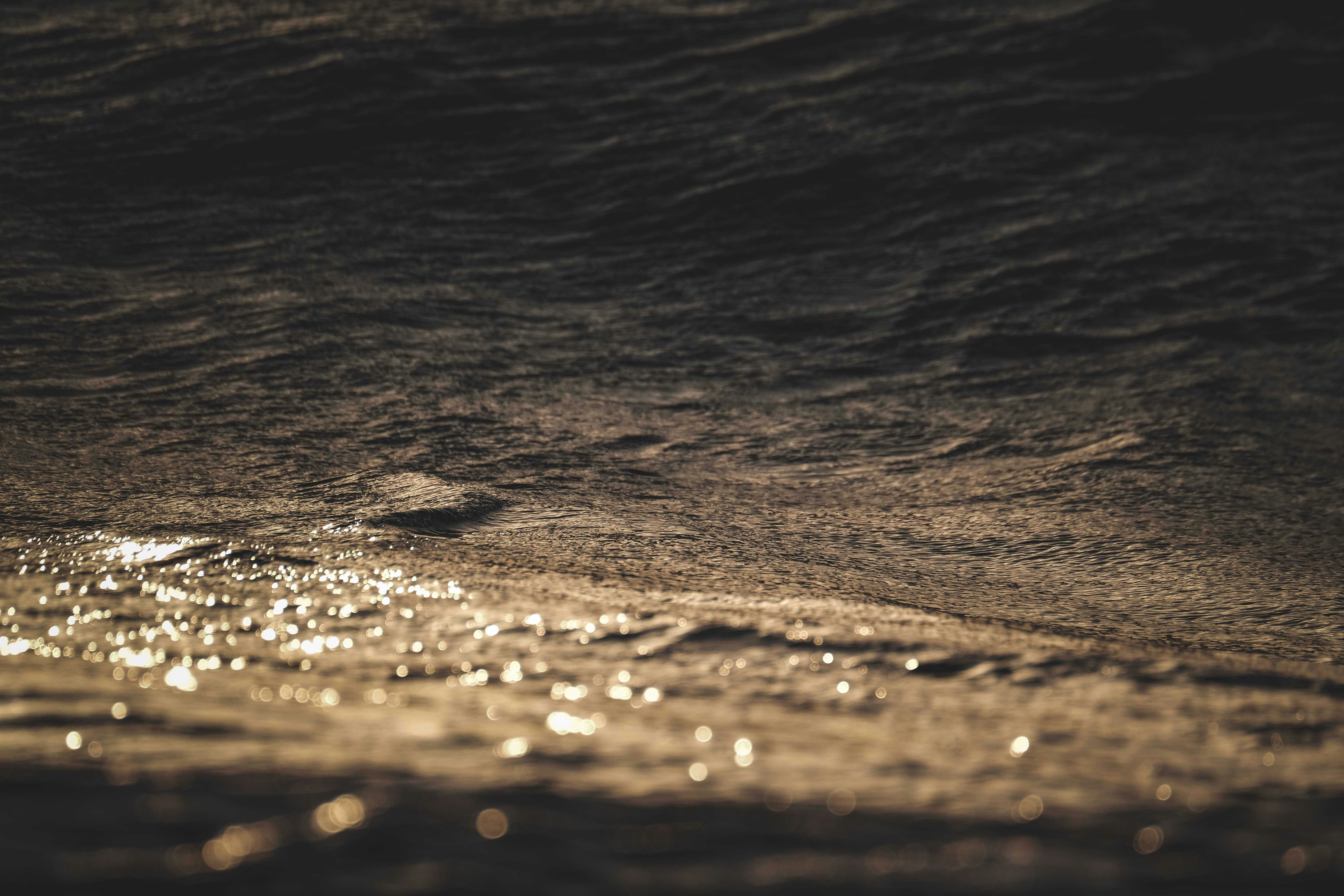 Photo by francesco_ungaro